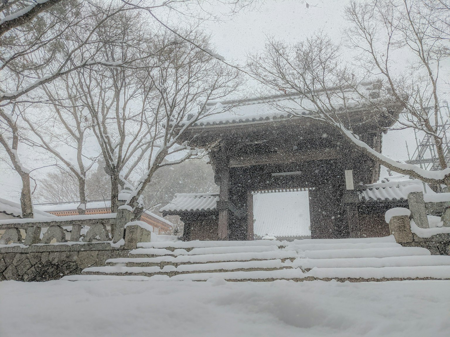 被雪覆蓋的日本寺廟入口和石階