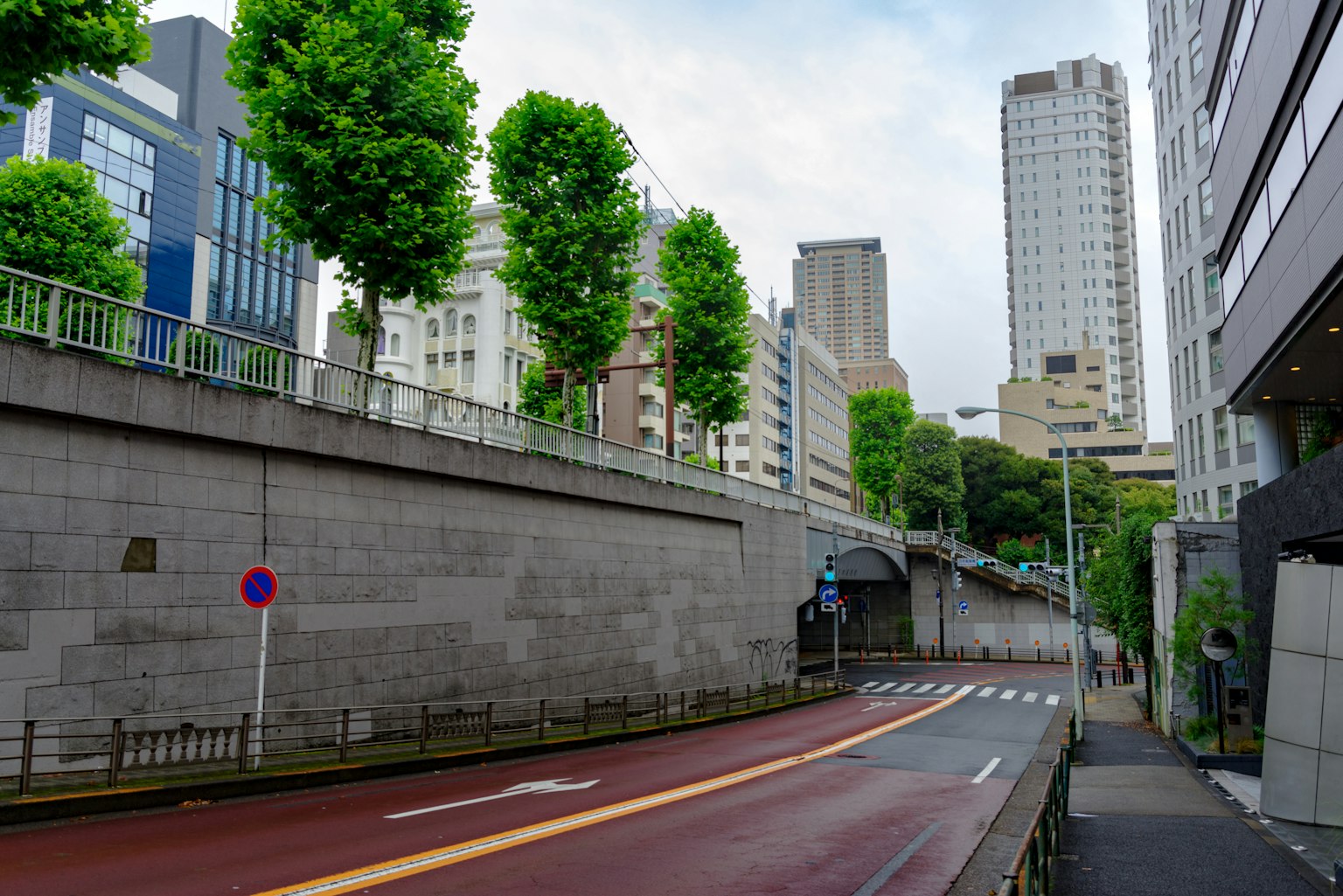 Urban street scene with green trees and tall buildings