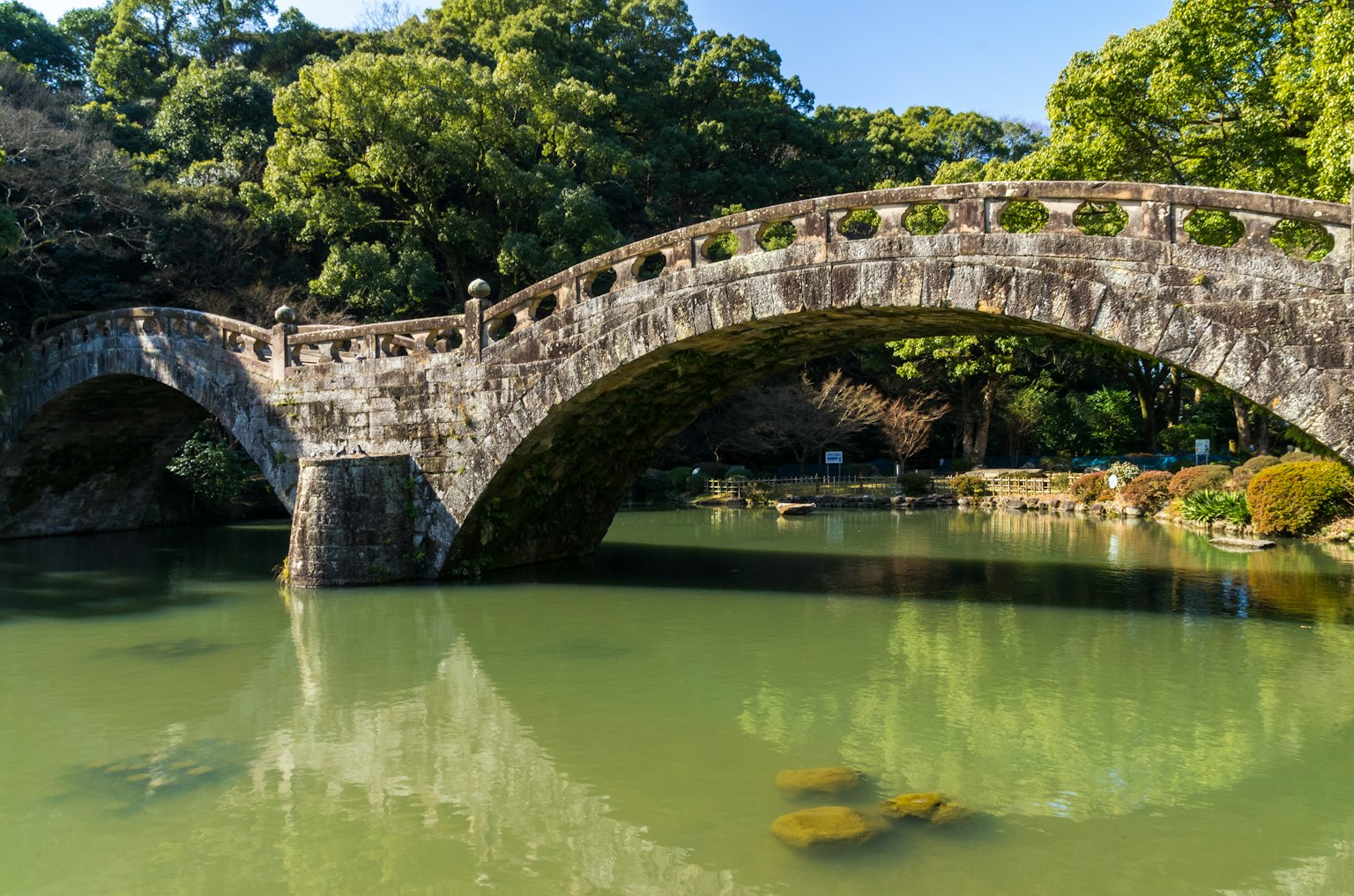 Vecchio ponte di pietra su uno stagno verde circondato da vegetazione lussureggiante in un ambiente naturale sereno