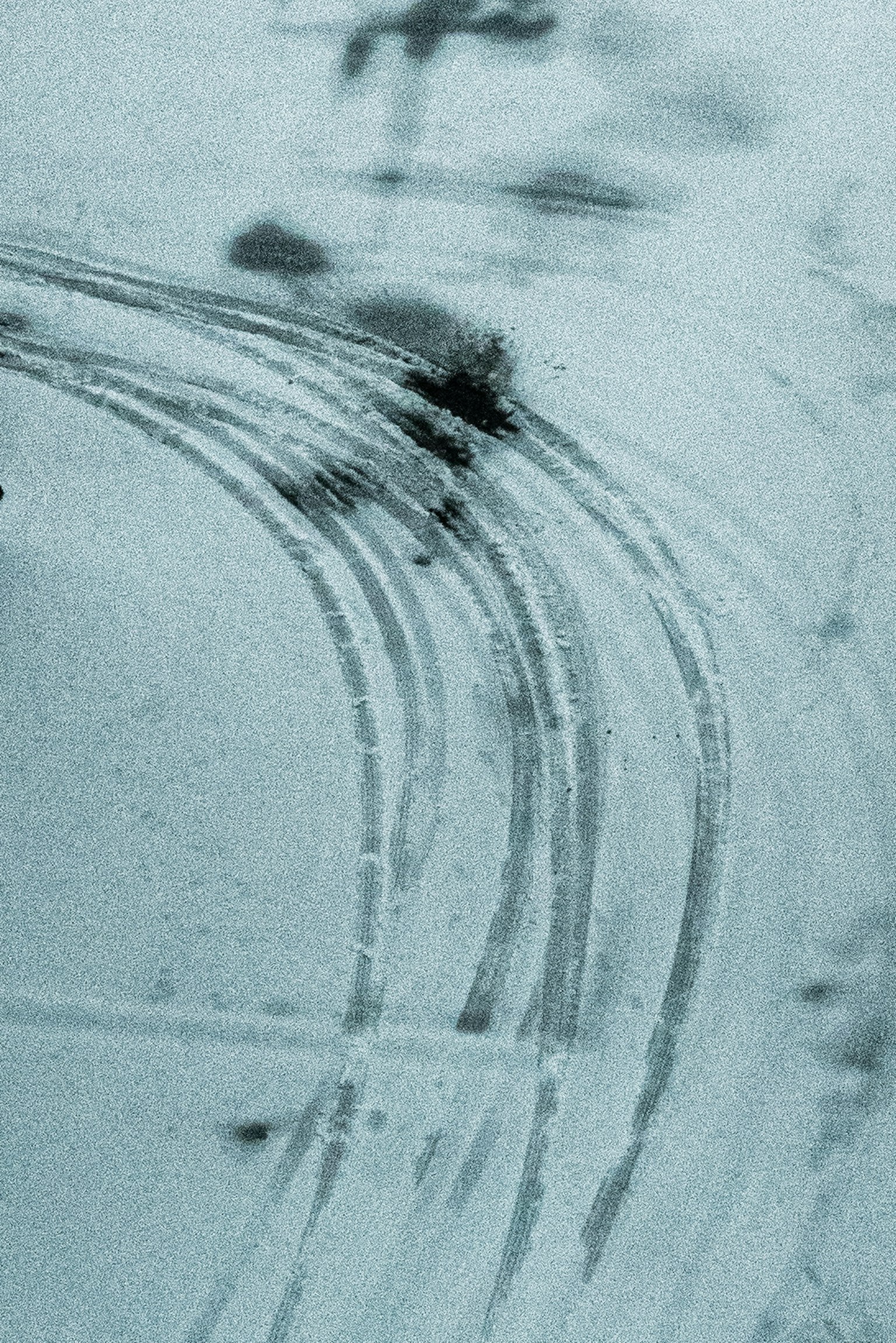 雪の上に残るタイヤの跡が曲がっている様子