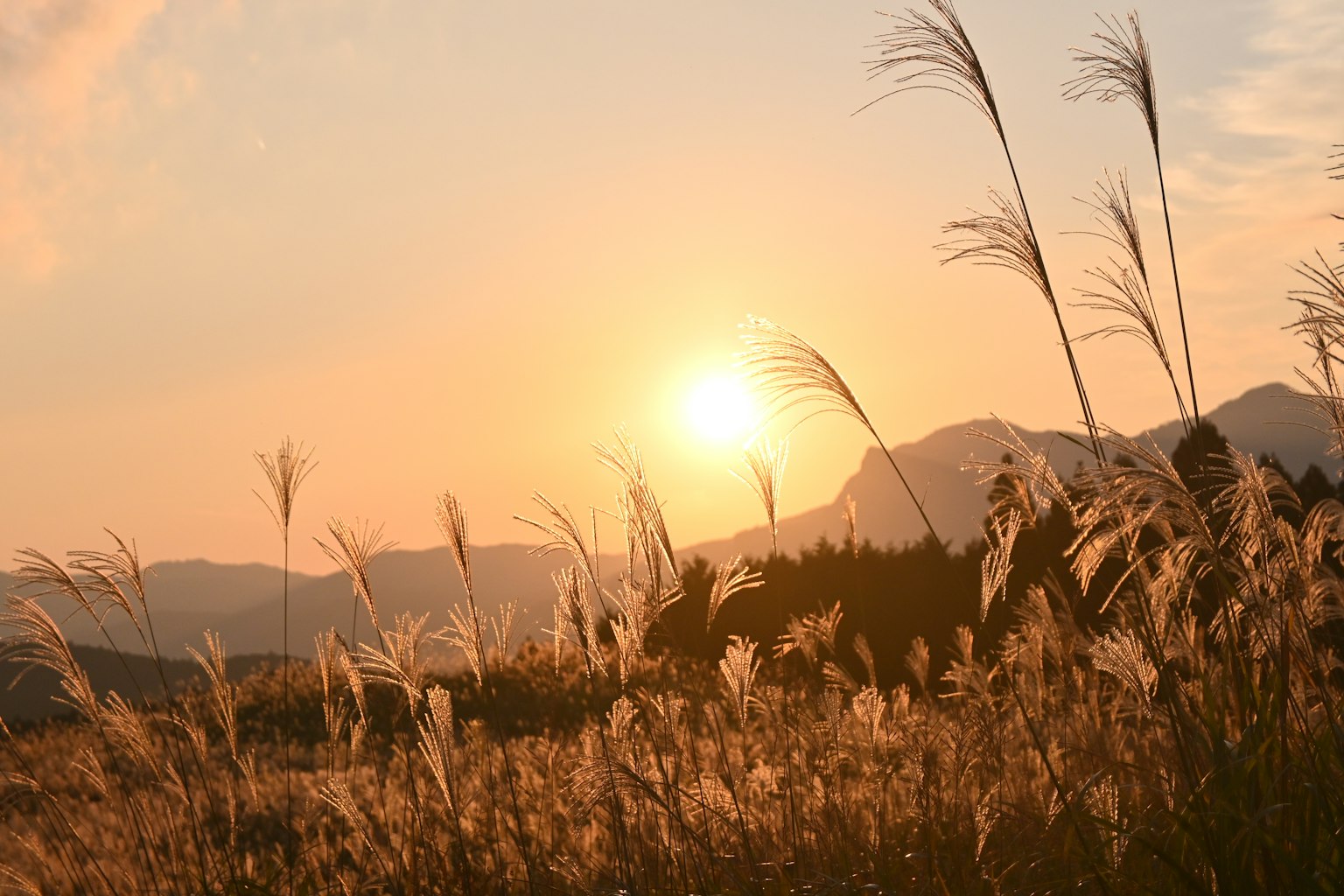 Panoramablick auf den Sonnenuntergang über einem Grasfeld und Bergen
