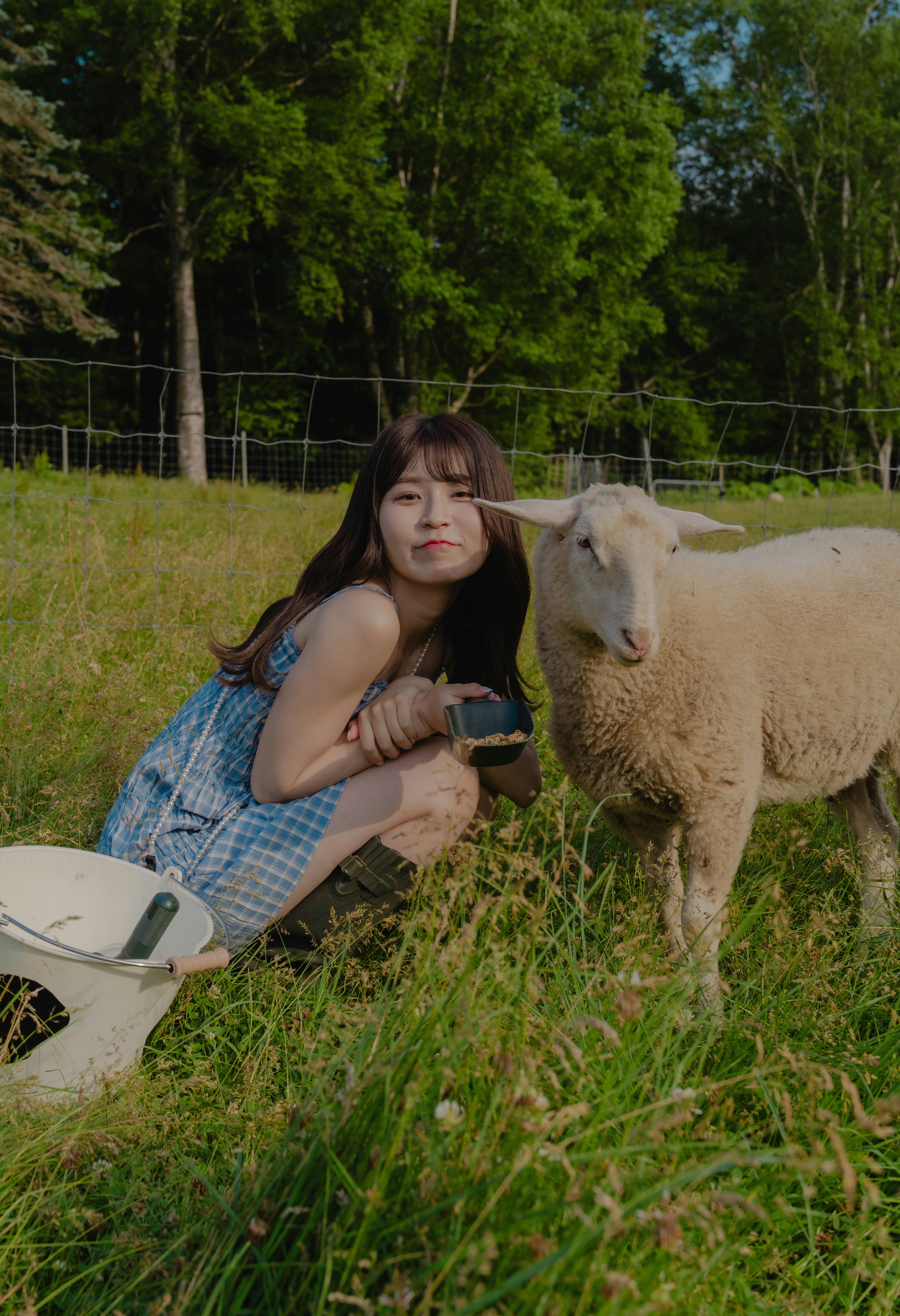 一名女性坐在田野里与一只羊在一起