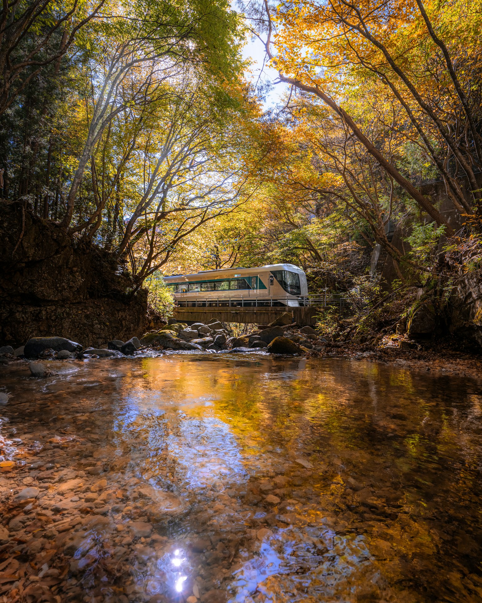 Un autobus su un ponte sopra un fiume circondato da alberi dai colori autunnali