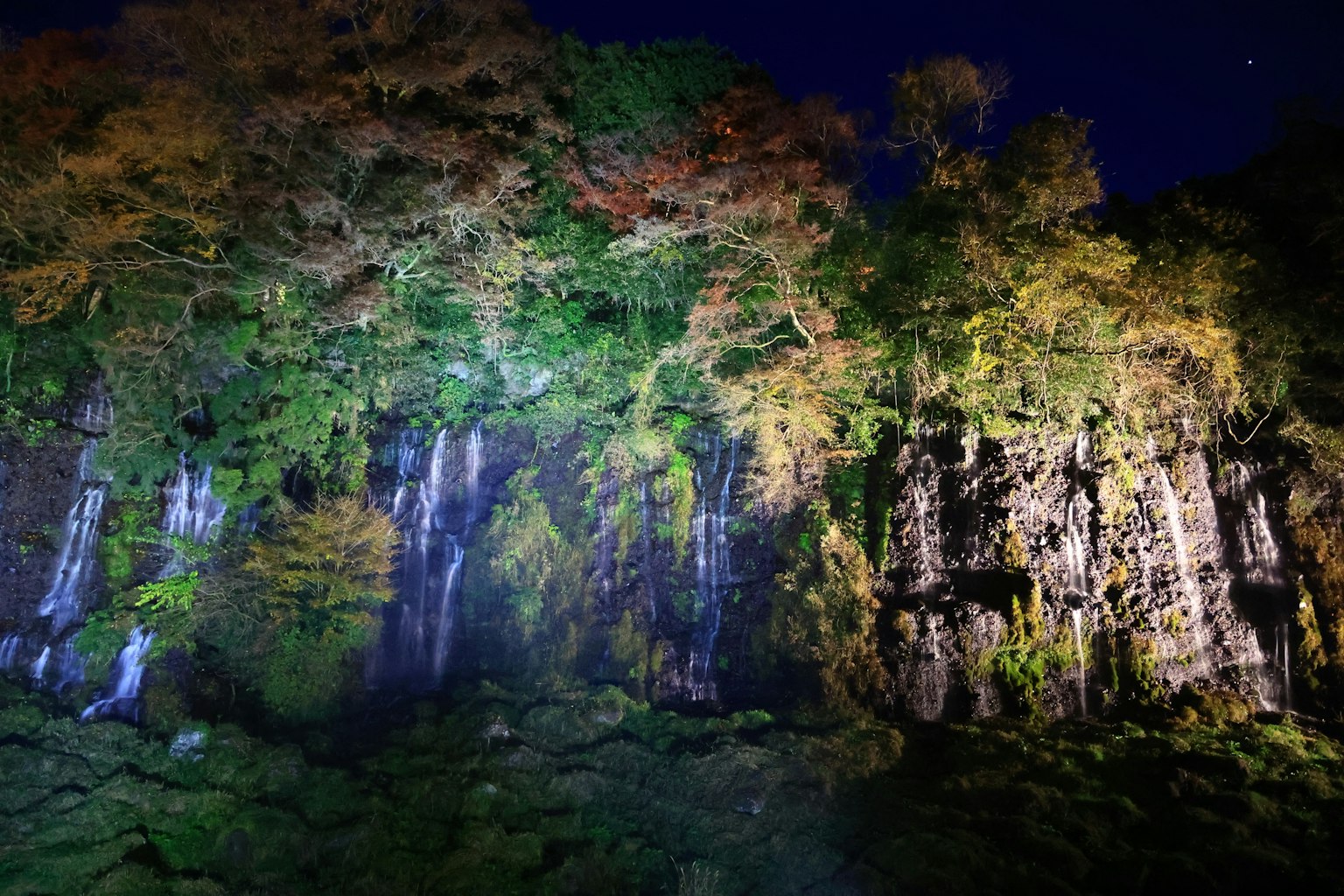Hermosa vista nocturna de una cascada con árboles coloridos