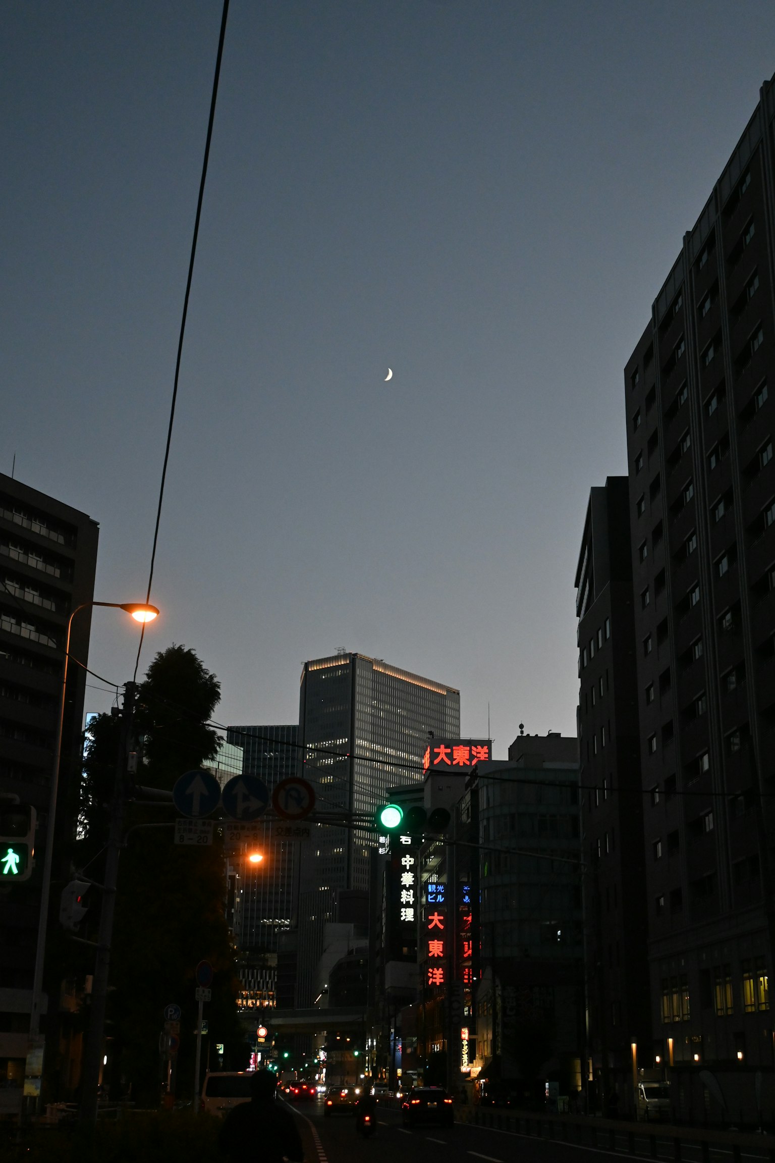 夜间城市景观 高楼大厦和路灯下的月亮