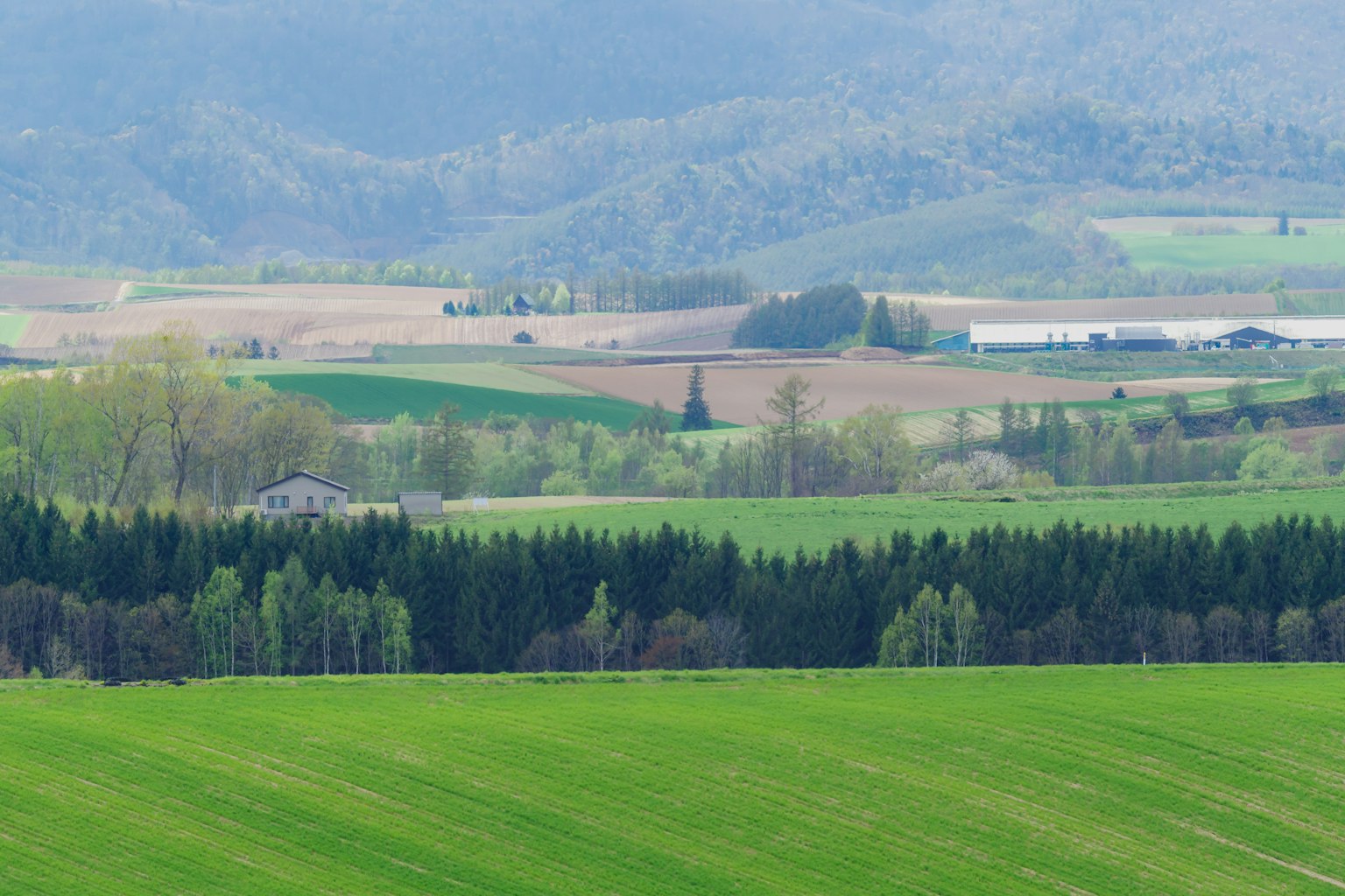 A beautiful landscape surrounded by green fields and trees