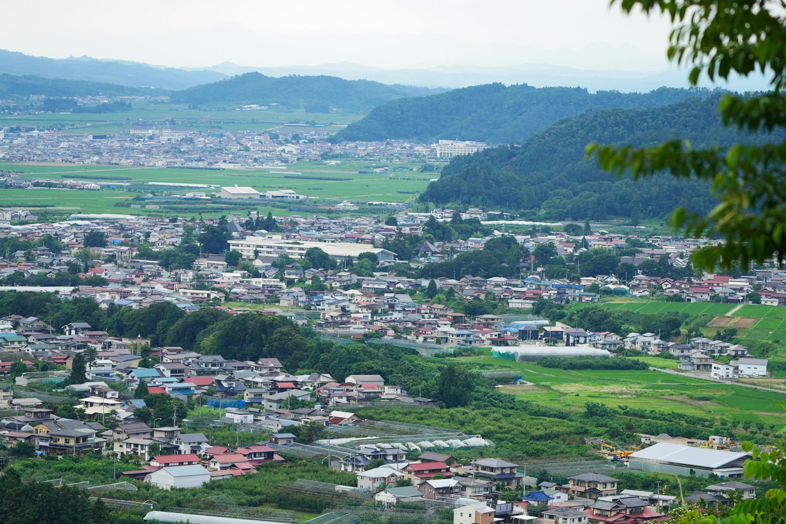 山地地区的鸟瞰图，绿意盎然和住宅建筑