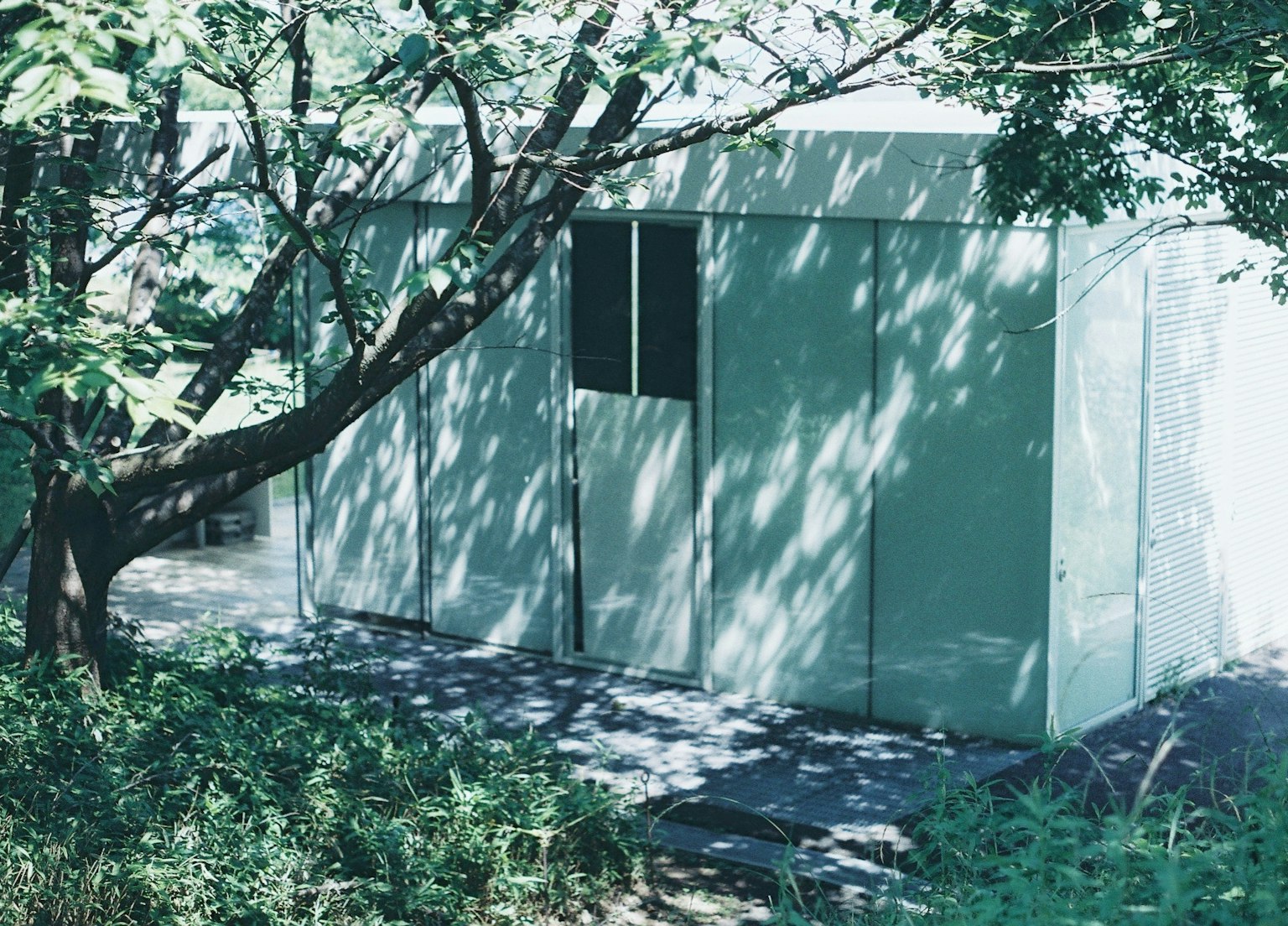 Cảnh bên ngoài của một cabin nhỏ màu trắng được bao quanh bởi cây xanh