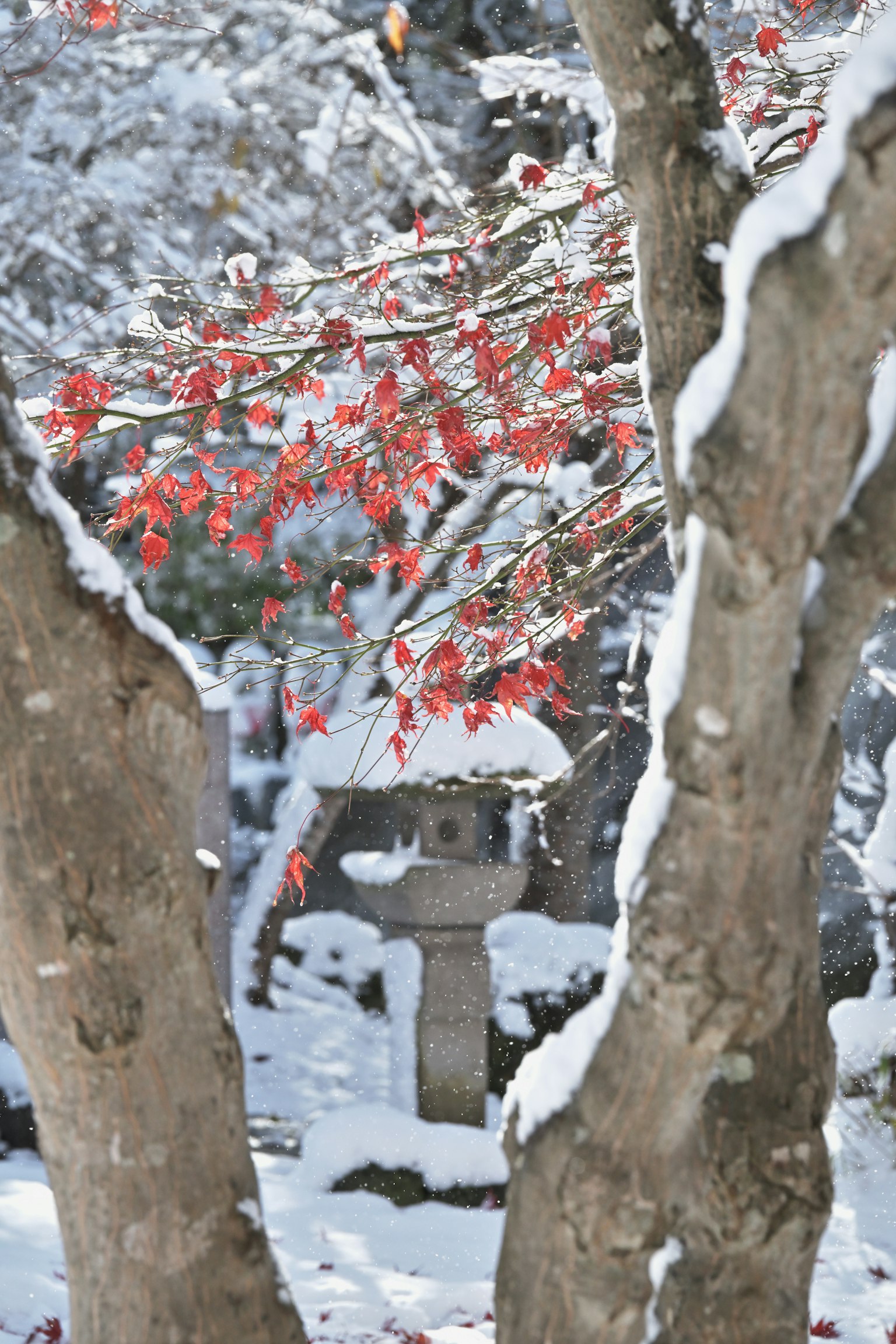 carré gris simple sur un fond sombre