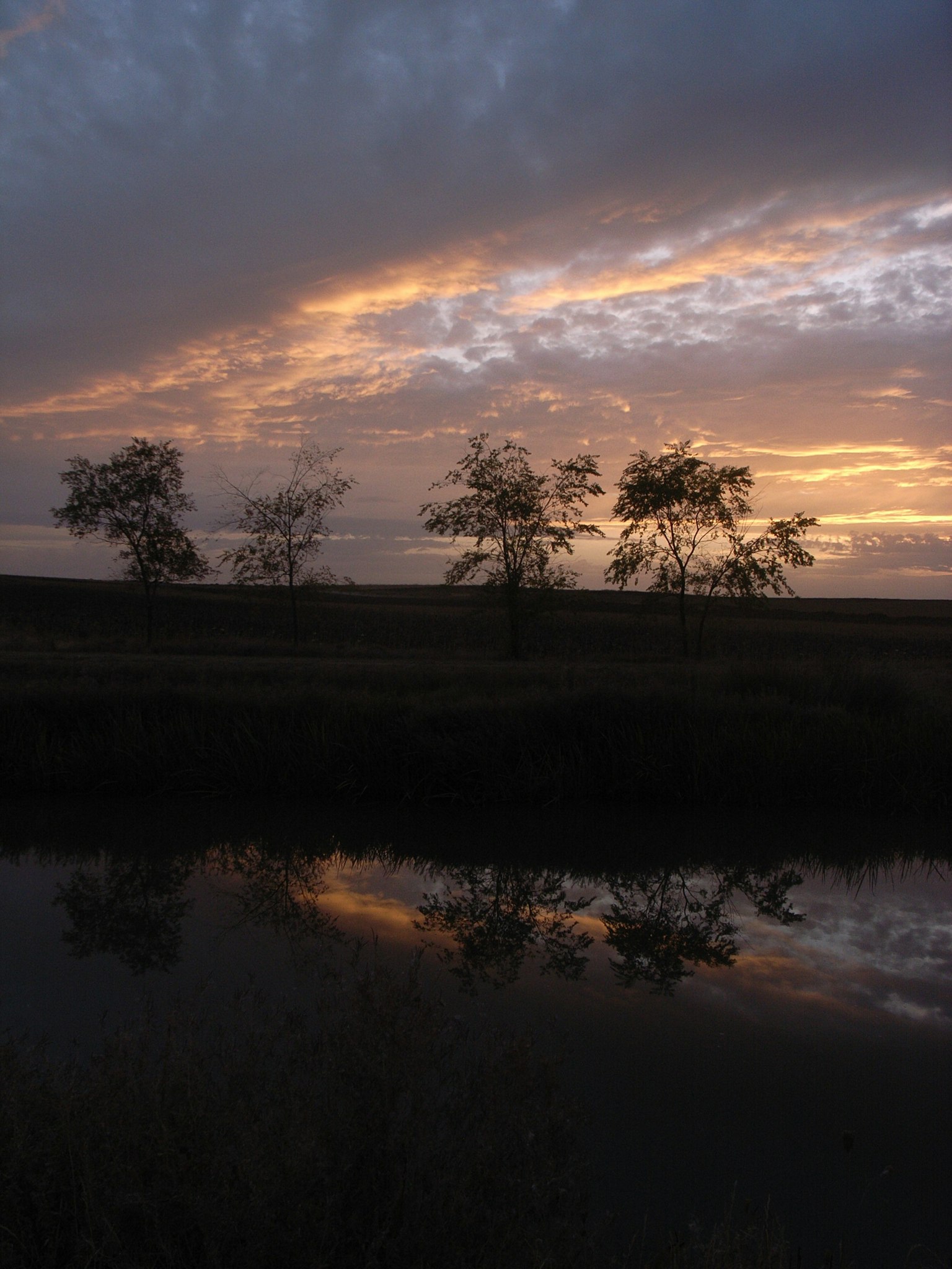 Silhouette di alberi contro un cielo al tramonto riflesso sull'acqua