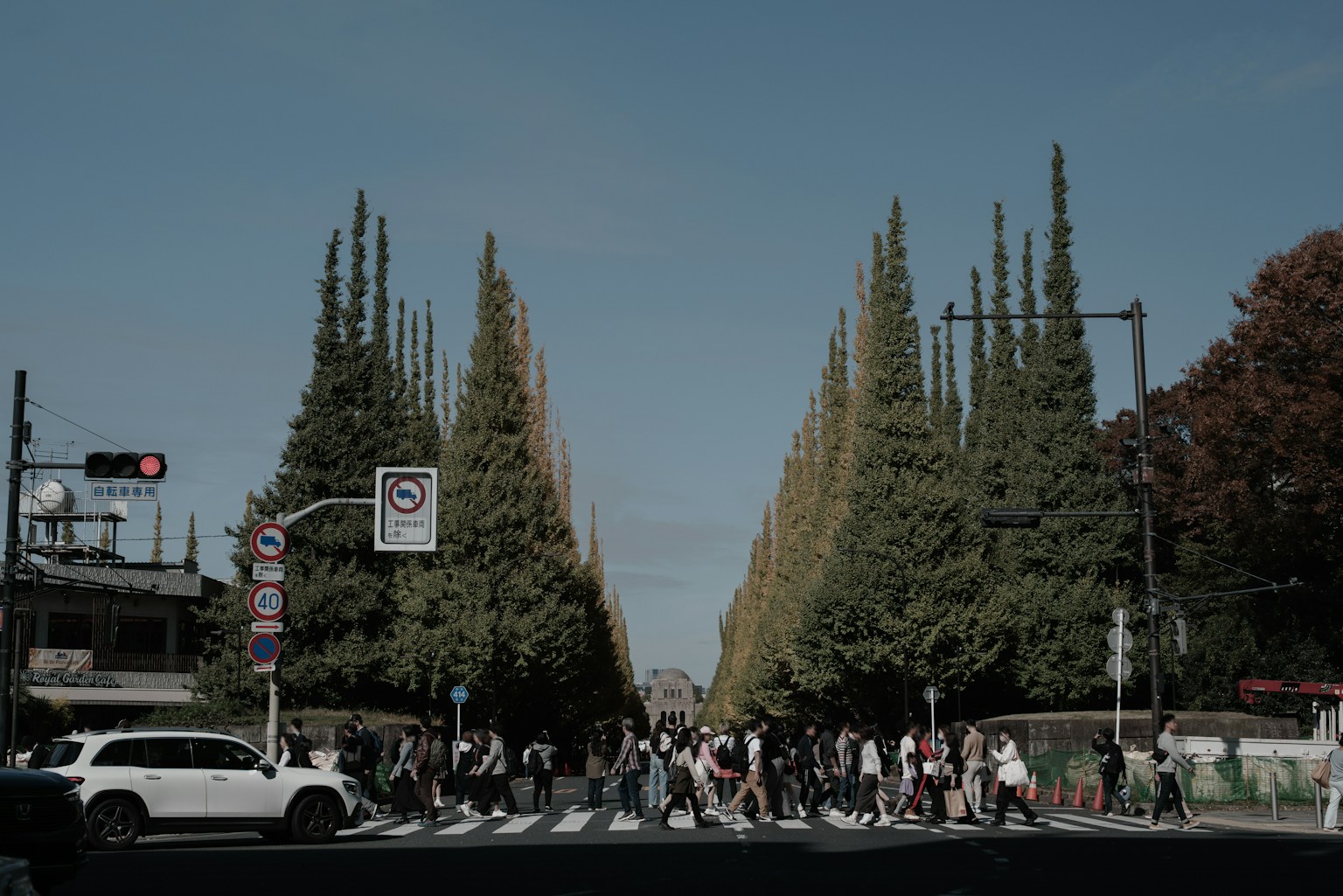 Des personnes traversent une rue bordée de grands arbres verts