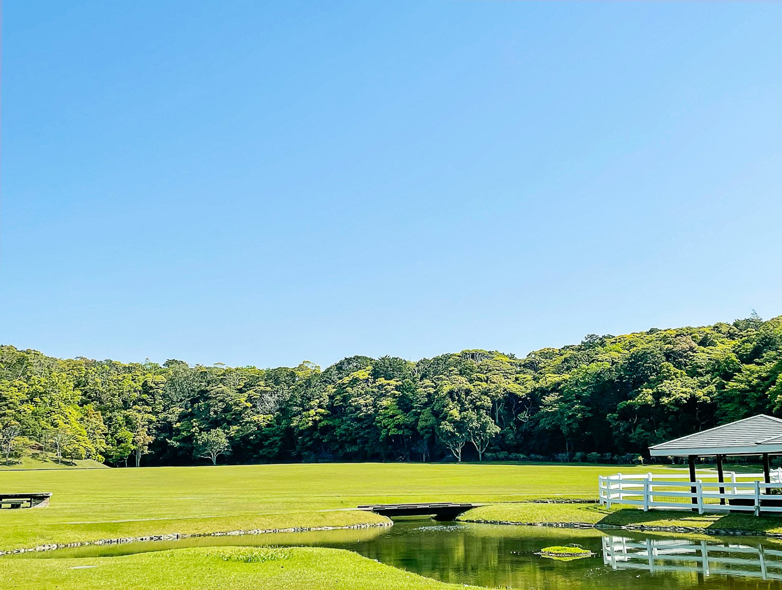 Expansive green meadow under a clear blue sky with surrounding trees