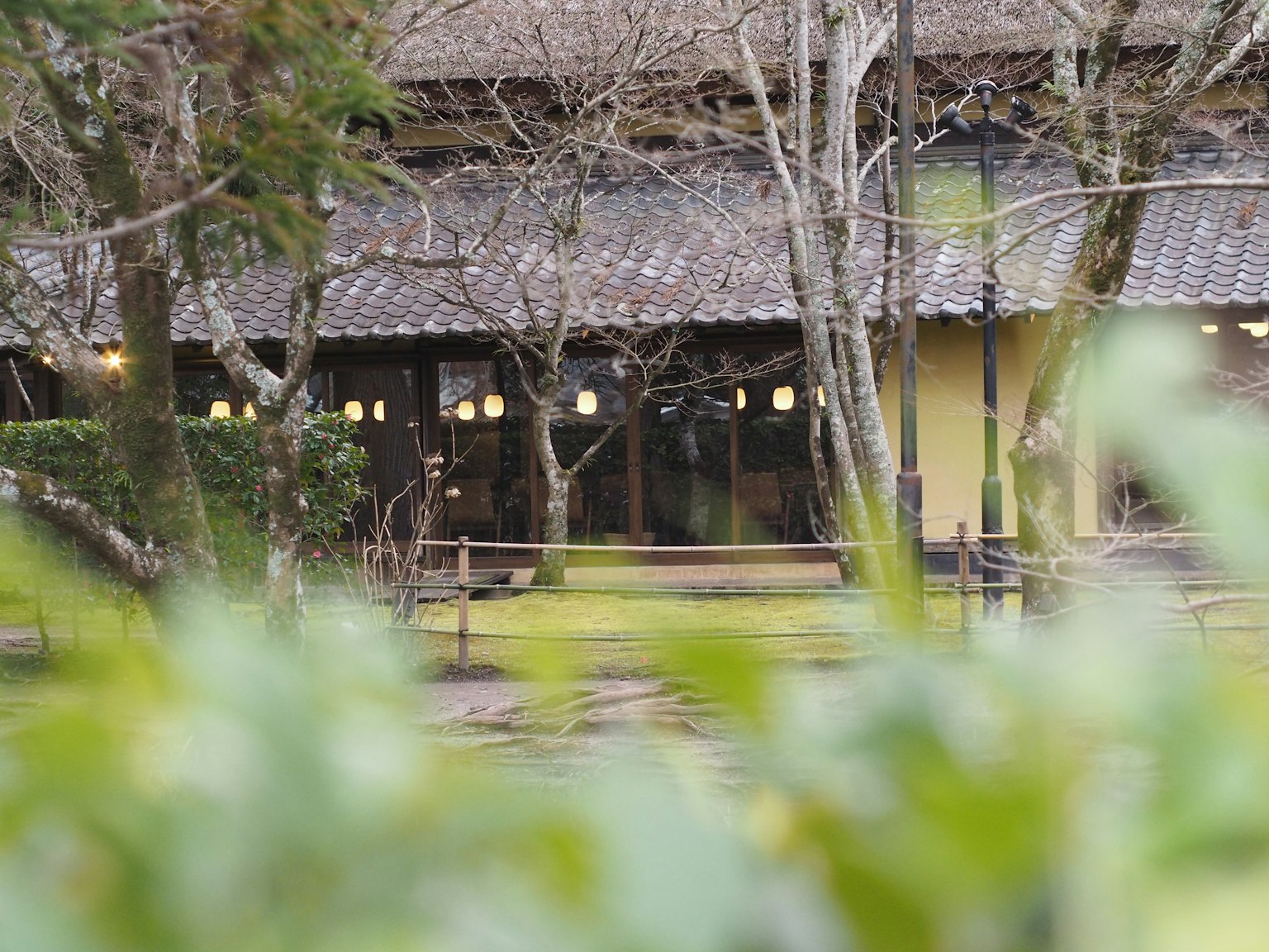 Traditional Japanese building visible through green plants