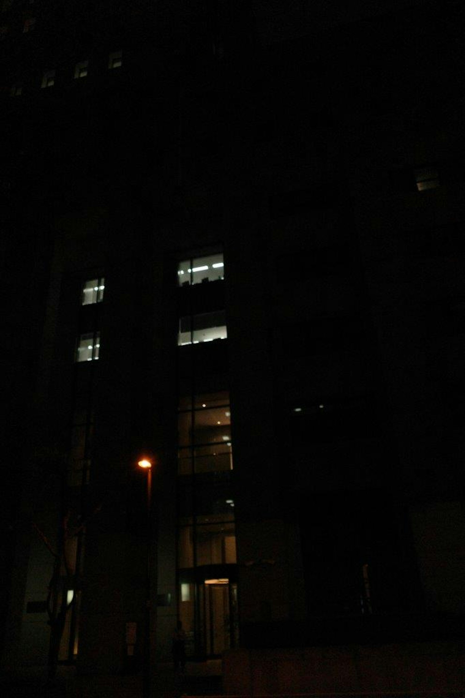 Finestre di un edificio illuminate di notte con lampione