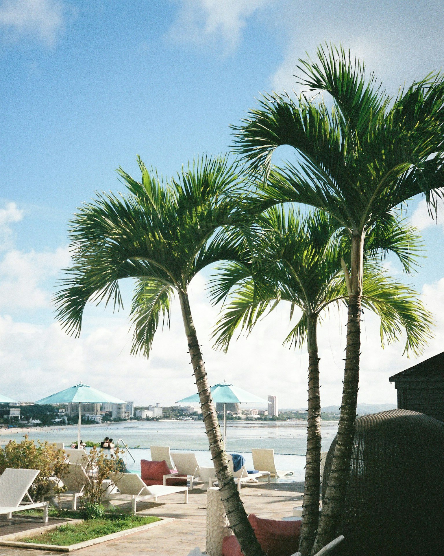 Paisaje de playa con palmeras y cielo azul
