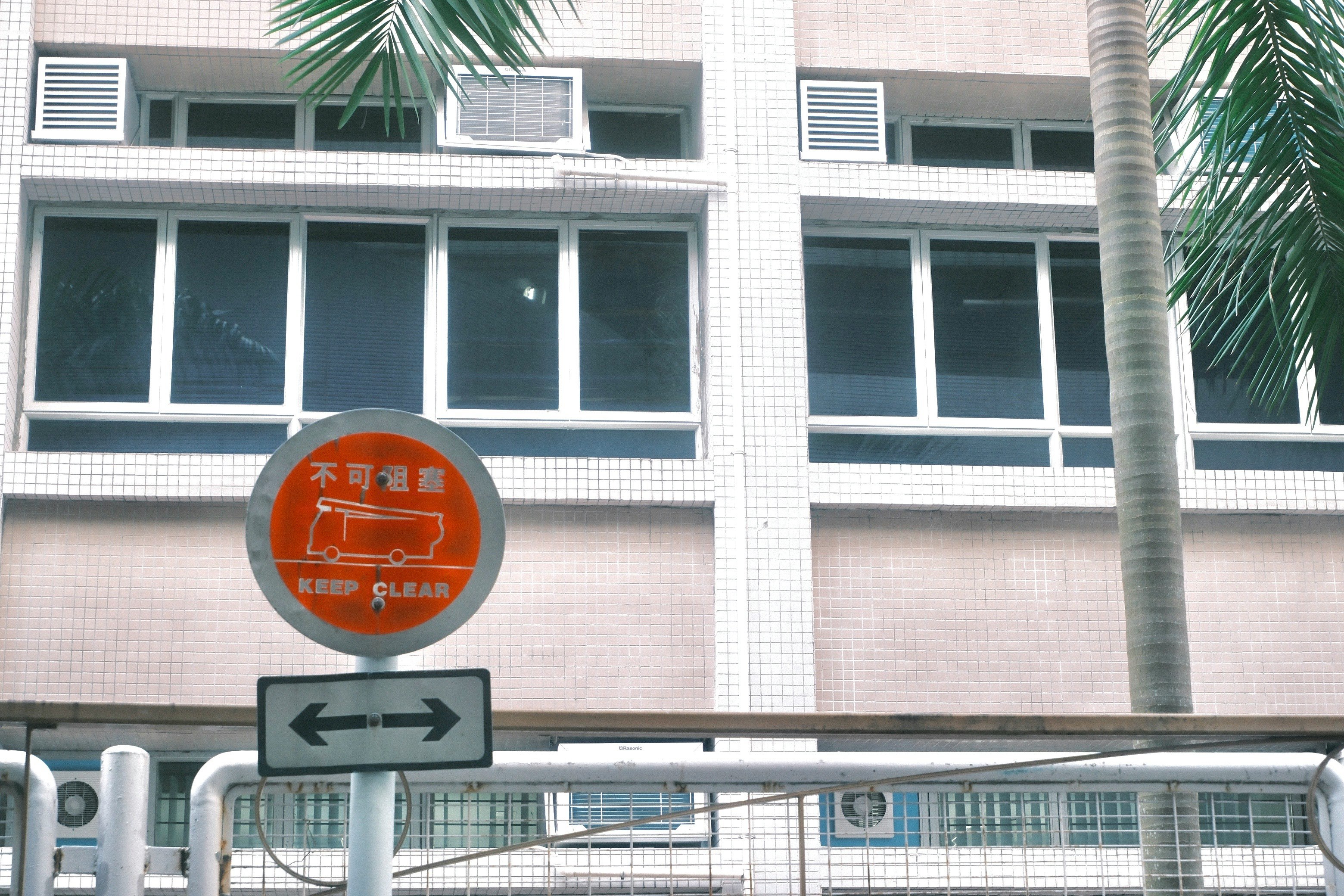 棕榈樹與建築前的交通標誌路口