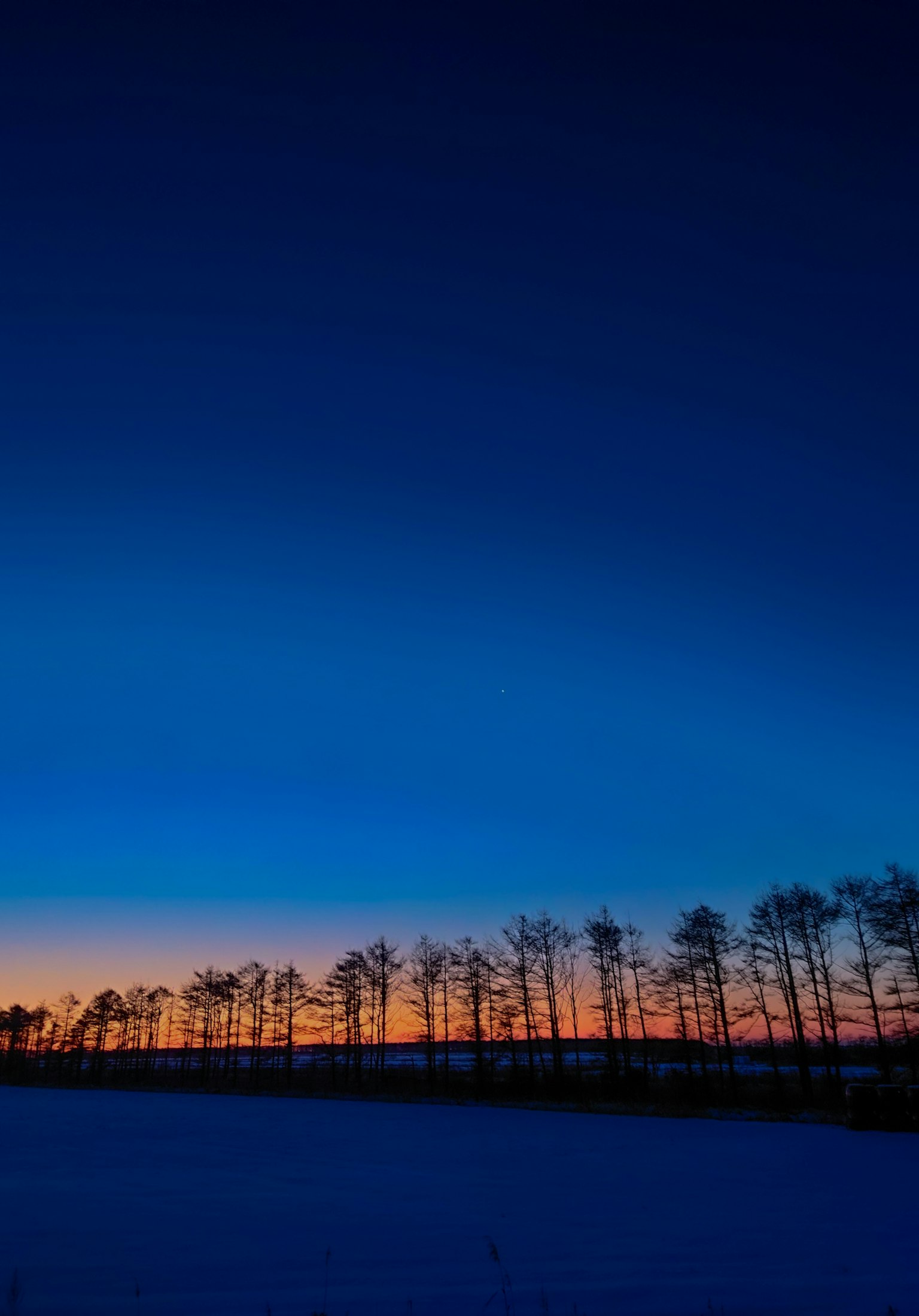Arbres silhouettés contre un ciel crépusculaire magnifique aux couleurs vives