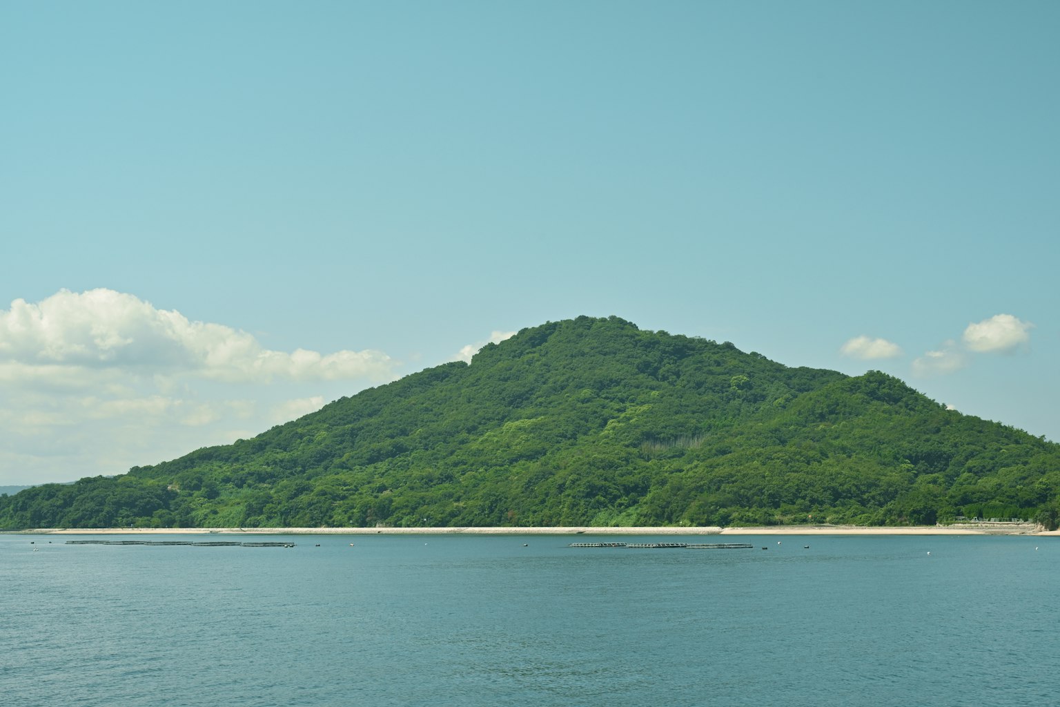Une petite île verte flottant dans une mer bleue