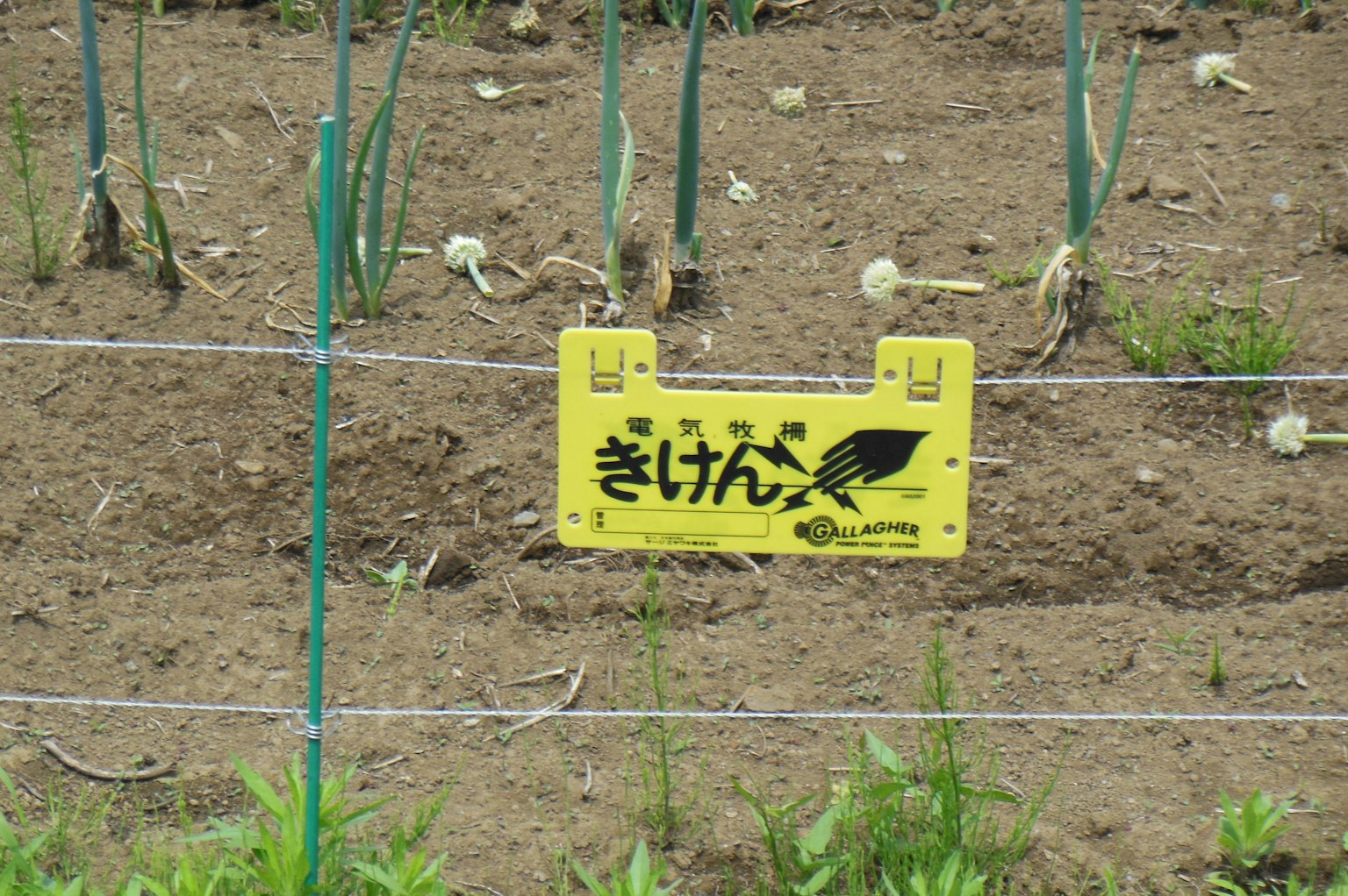 田地里的黄色警告标志上写着'きけん'