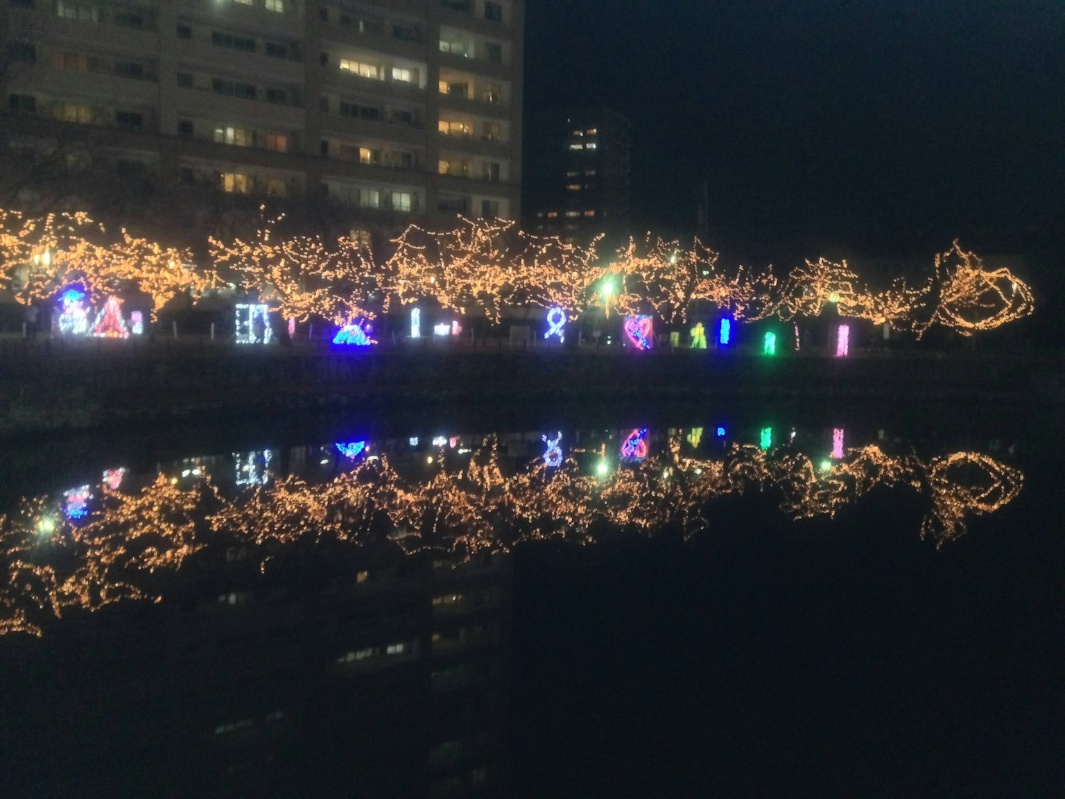 Weihnachtslichter leuchten am Flussufer in der Nacht