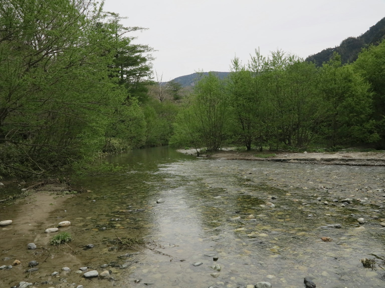 Ruhige Flusslandschaft umgeben von üppigen grünen Bäumen