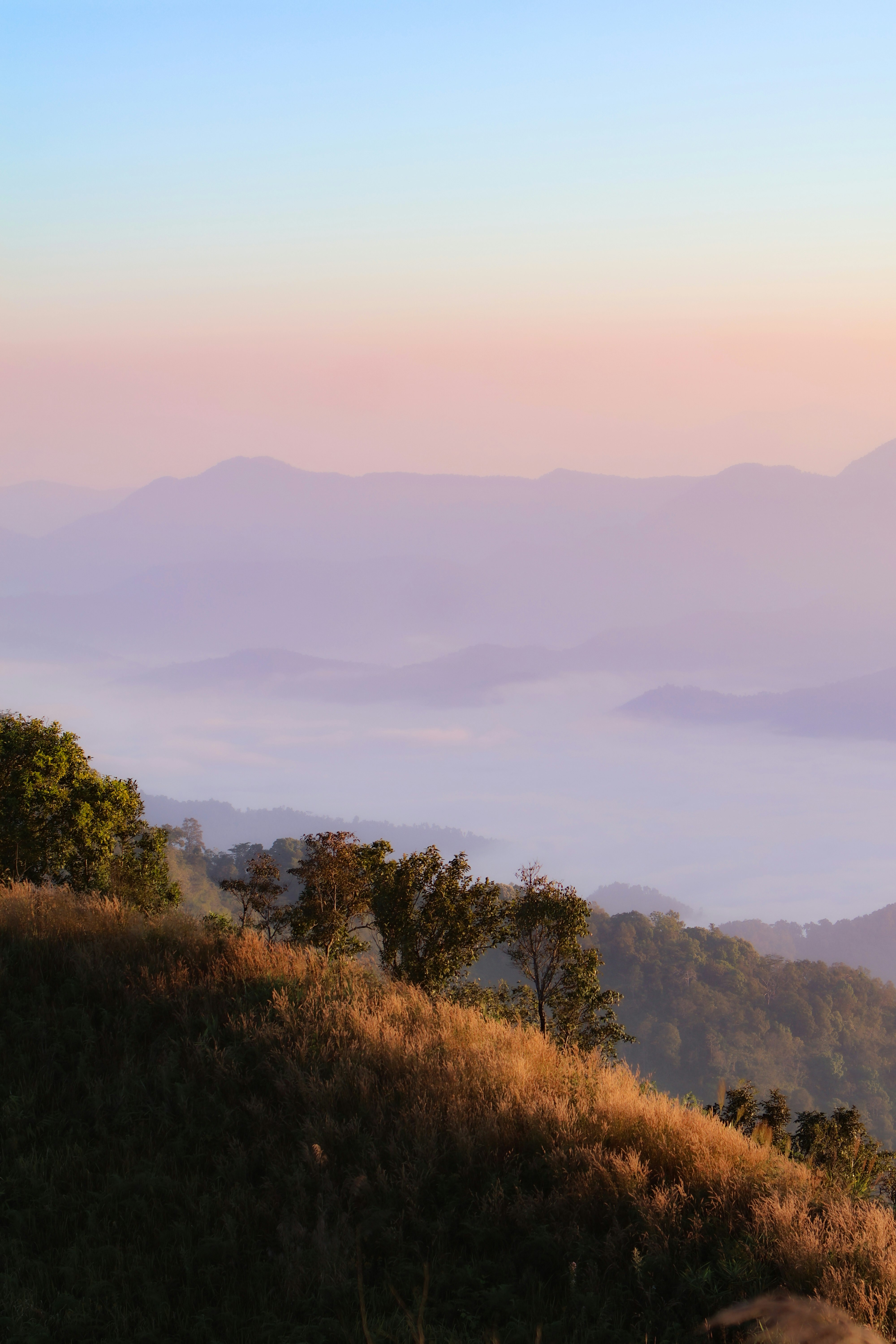 夕暮れの山並みと霧のかかった谷の風景