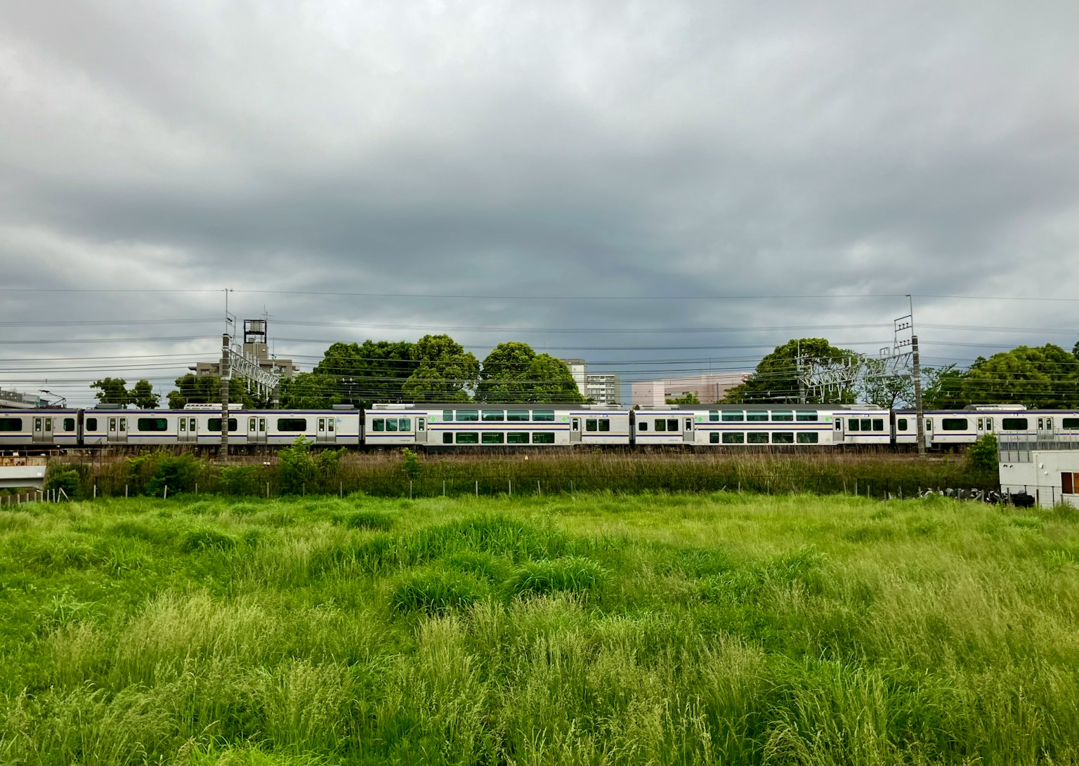 一列白色火車在綠色草地和陰天的背景下行駛