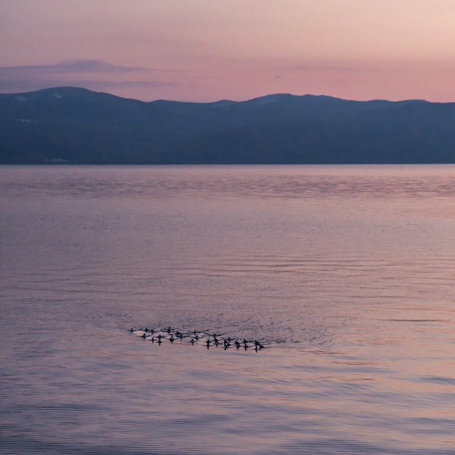 어두운 배경에 단순한 회색 사각형