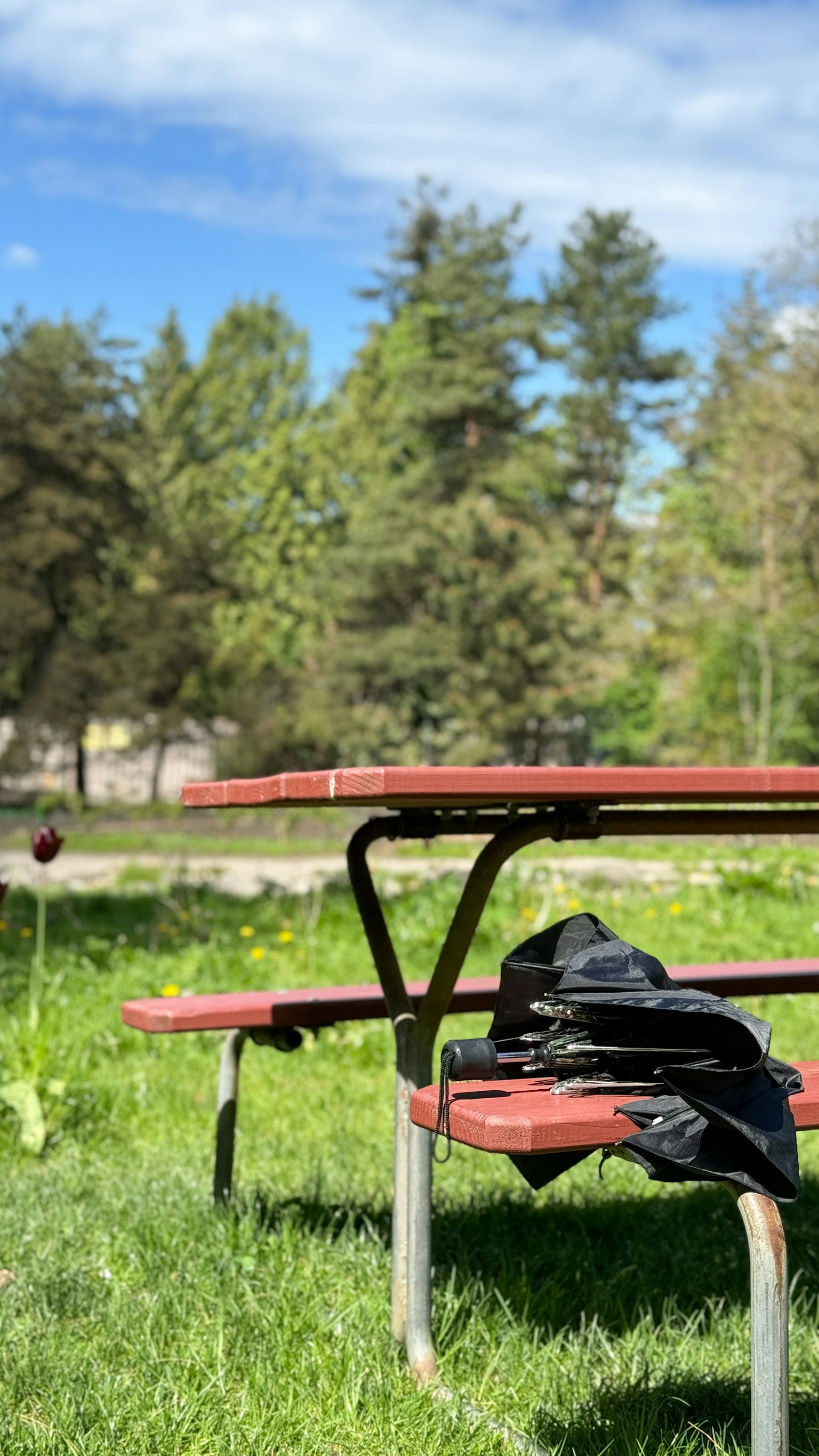 Table de pique-nique dans un parc avec un sac noir sur l'herbe