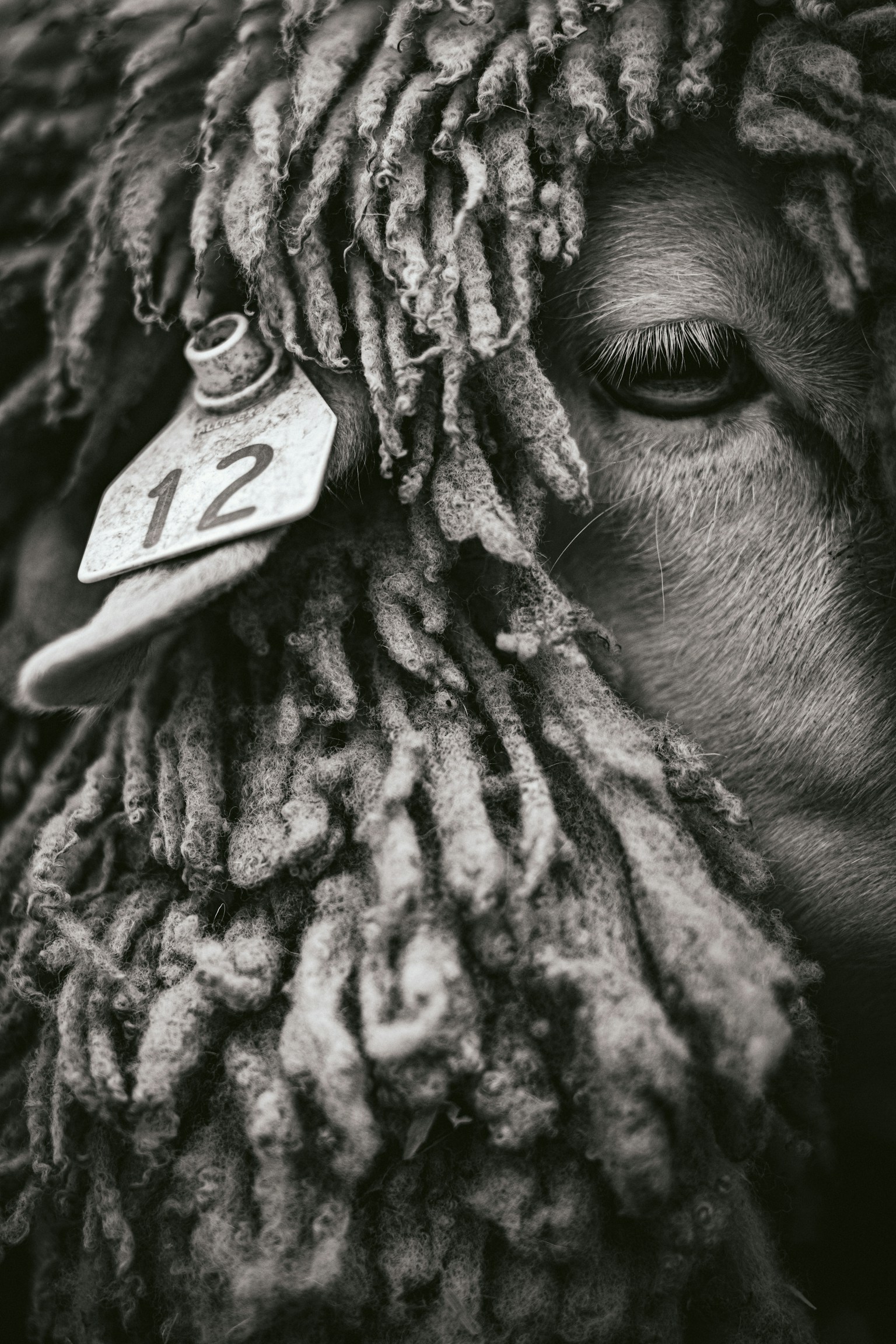 photo-8zriy6Ud6r1jKB447kb5-image