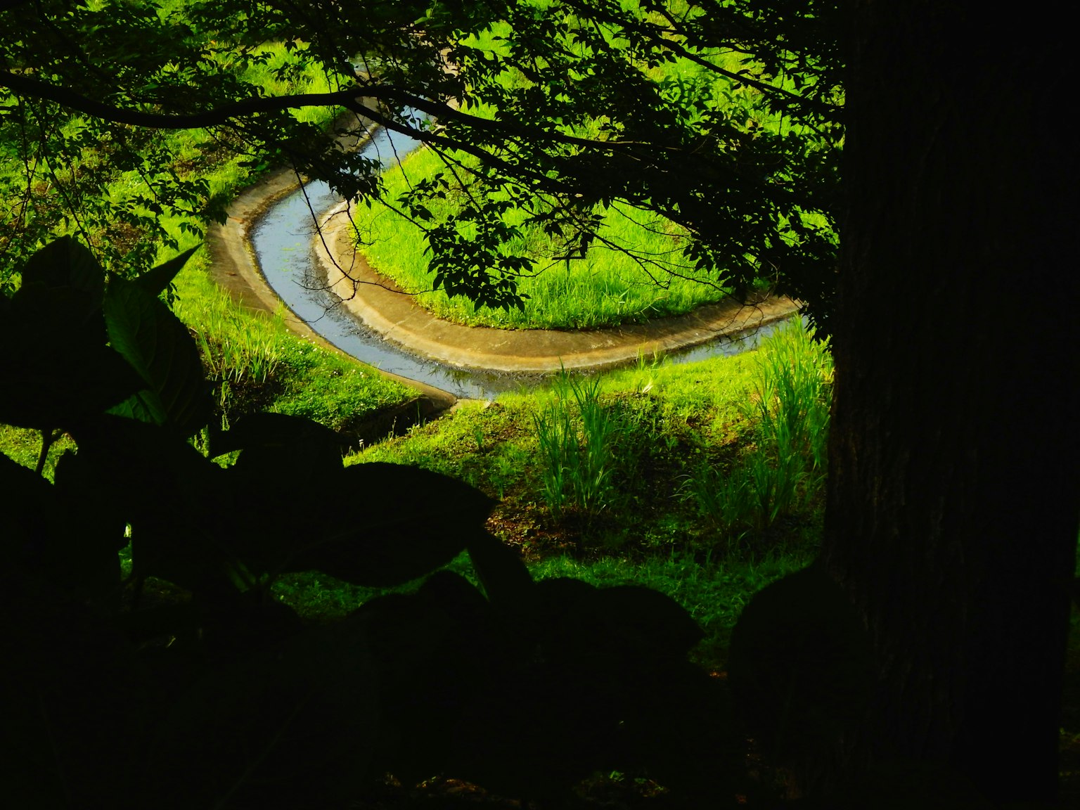 Gewundener Bach durch eine üppige grüne Landschaft