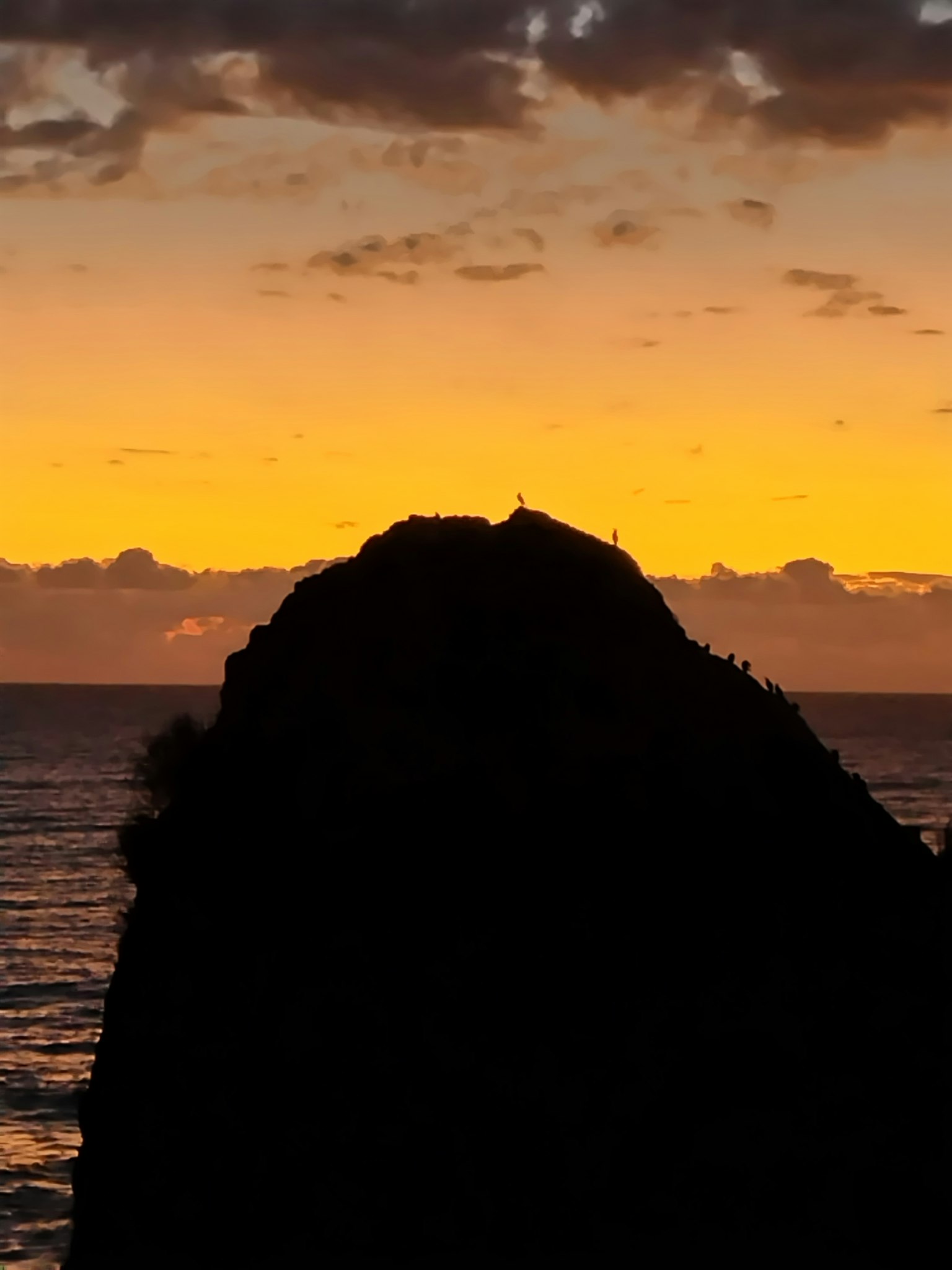 Silhouette di una roccia contro un tramonto sull'oceano