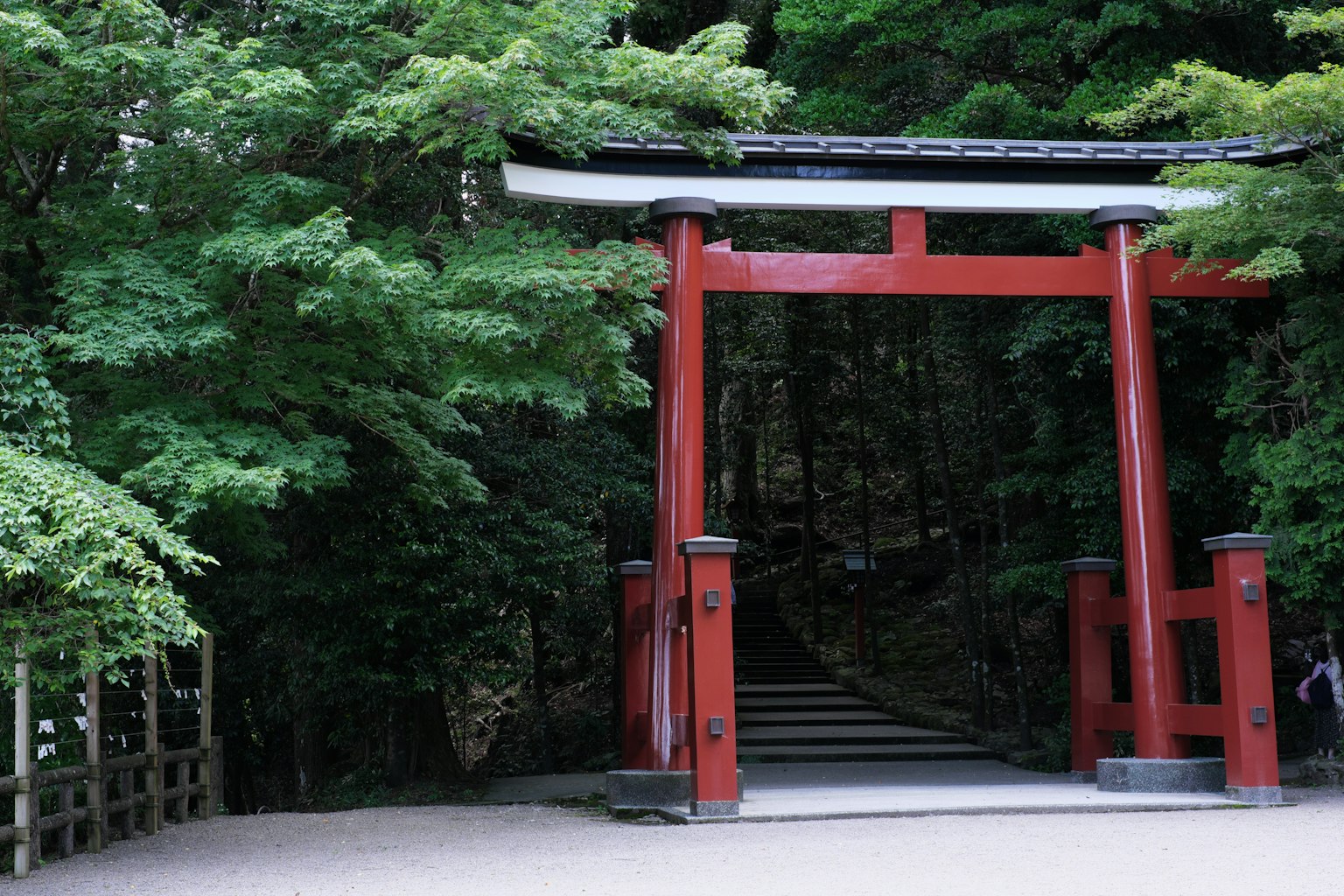 Puerta torii roja rodeada de vegetación exuberante y escalones de piedra