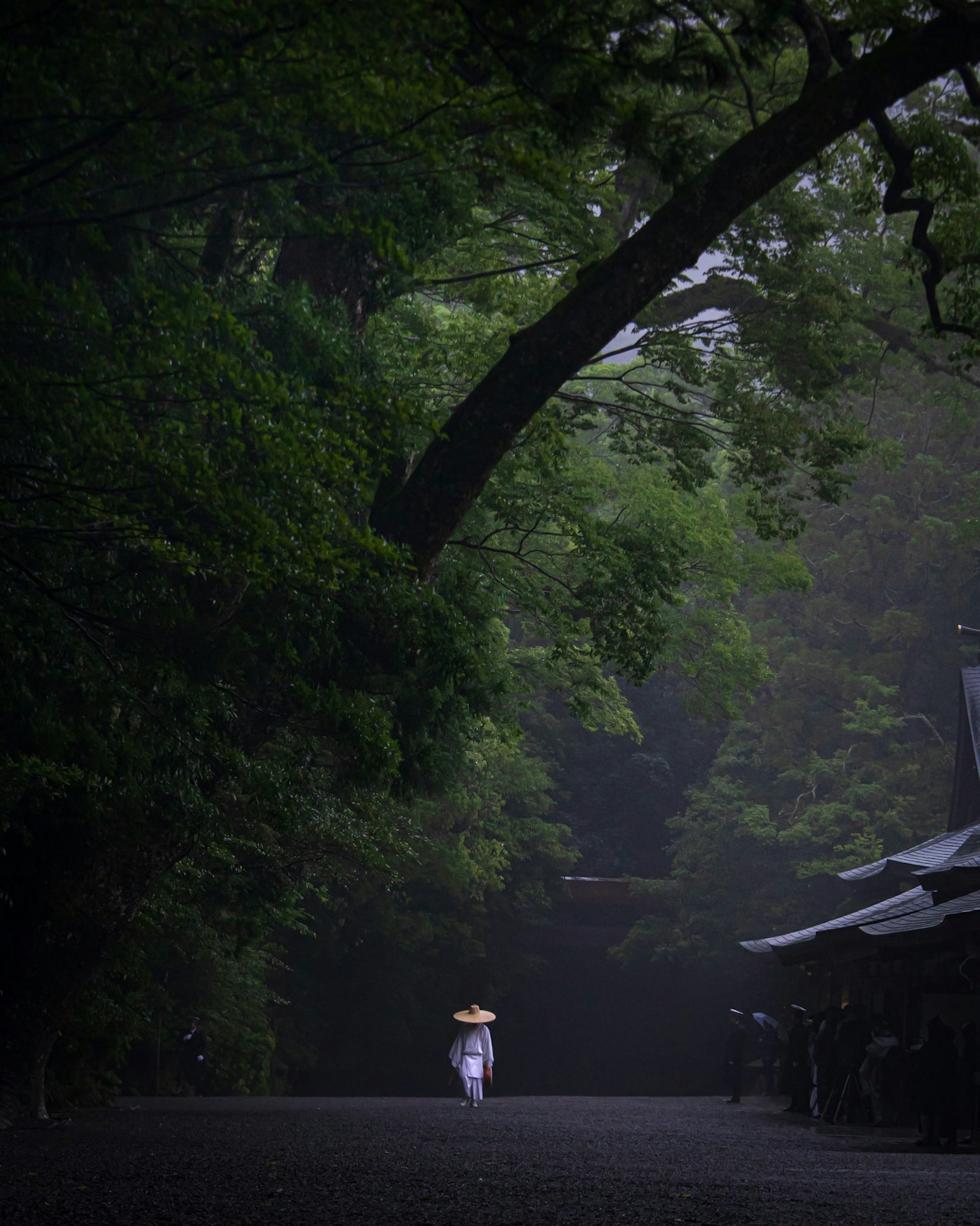 photo-90mnj2Na0rNm6gw4upxd-image