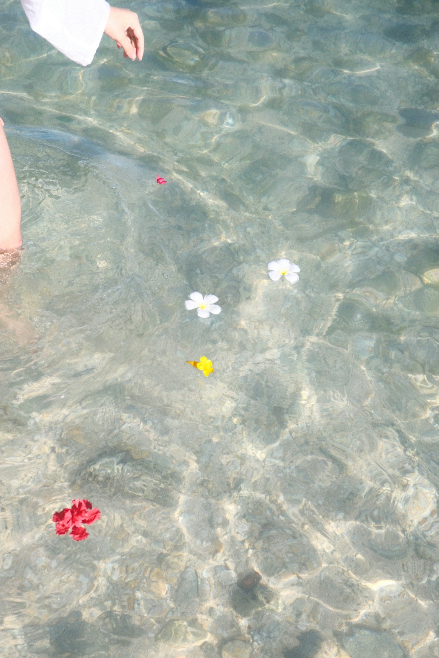 透明な水の中に浮かぶ花びらと足