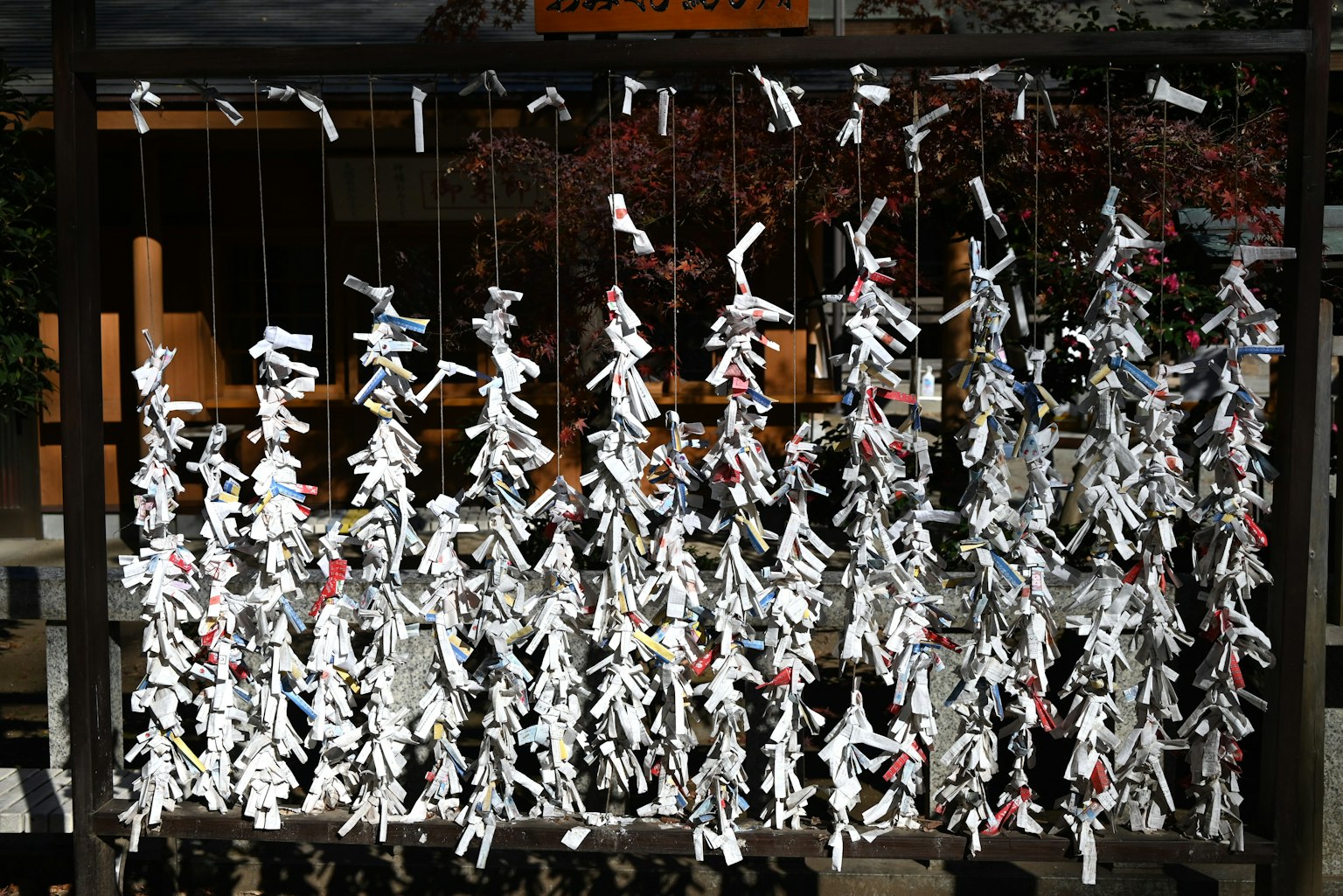 Racimos de omikuji blancos colgados en un santuario