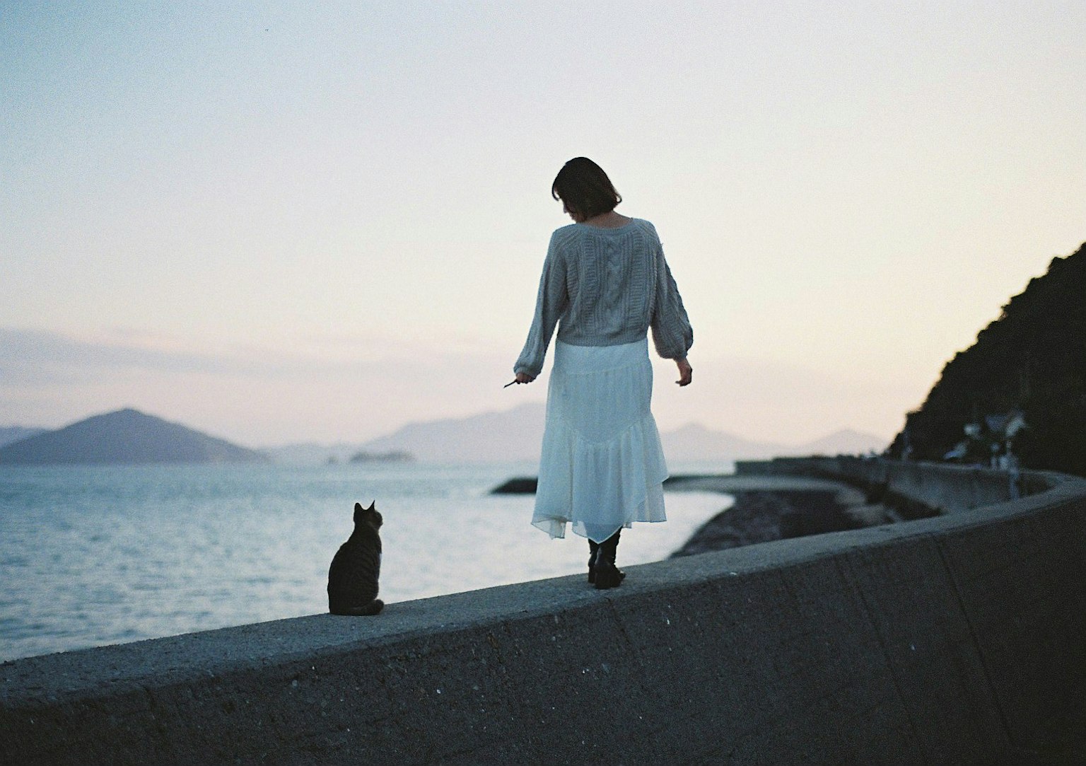 Silhouette di una donna che cammina lungo la spiaggia con un gatto