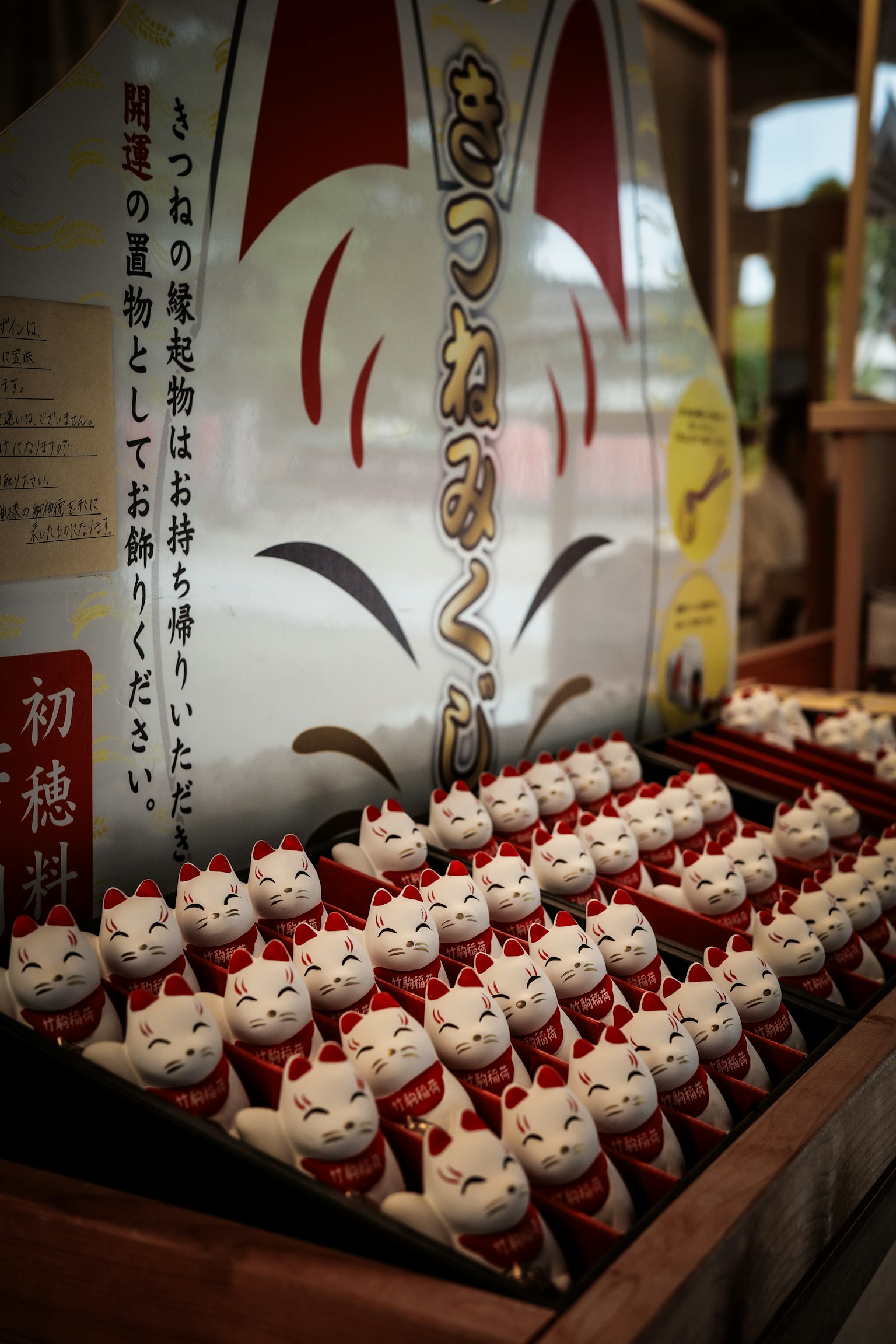 在神社展出的白色幸運貓的集合