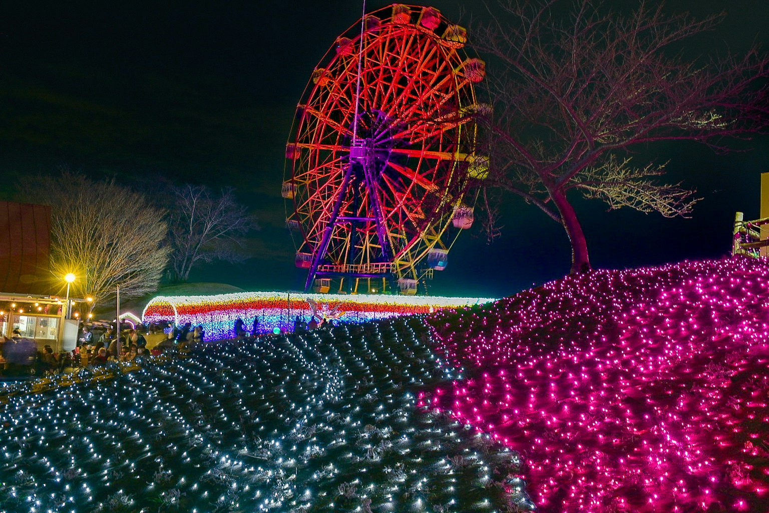 Vue nocturne d'une grande roue colorée entourée de lumières vives