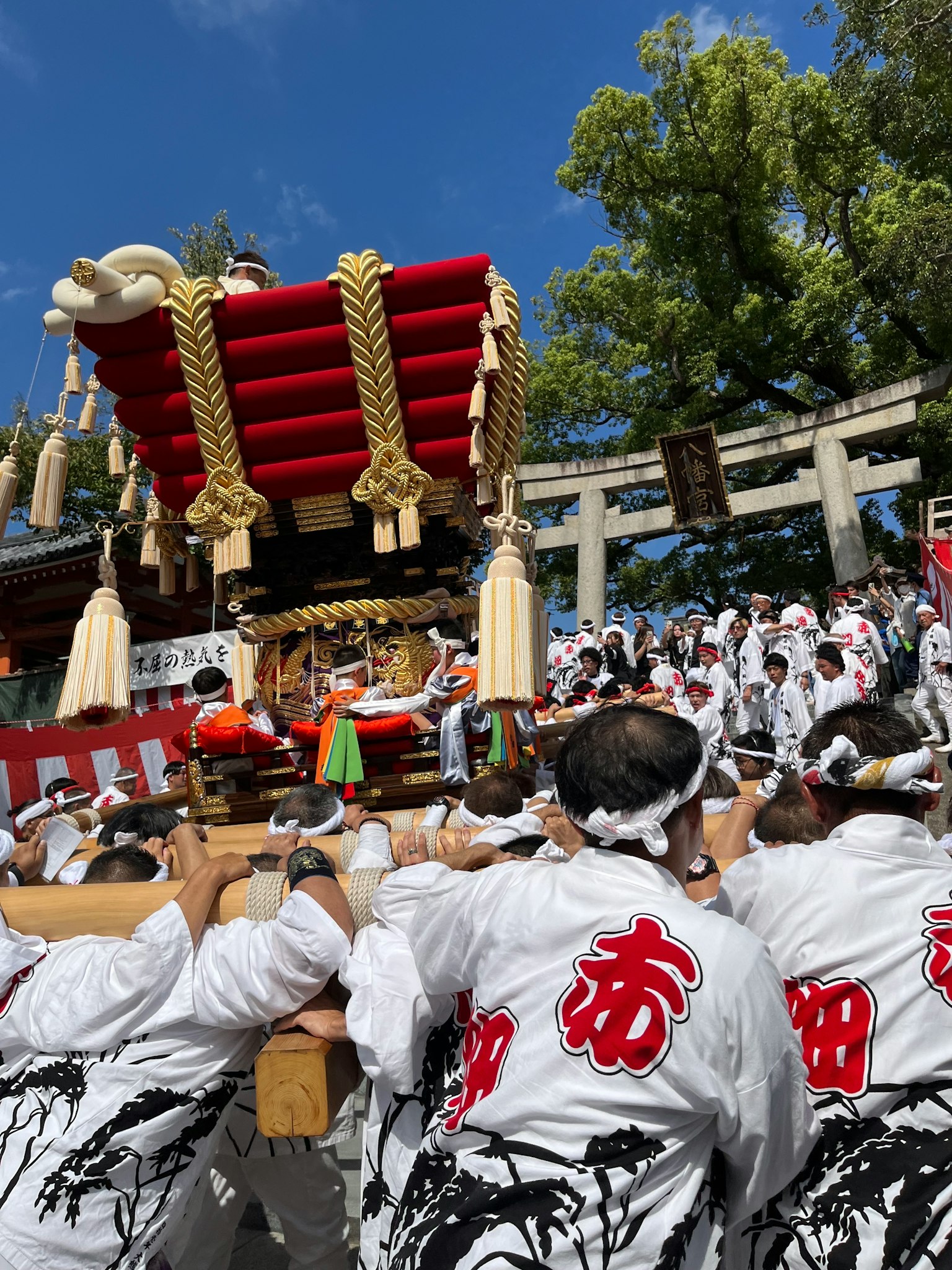 photo-9234lttnPIzDlG32Mdpy-image