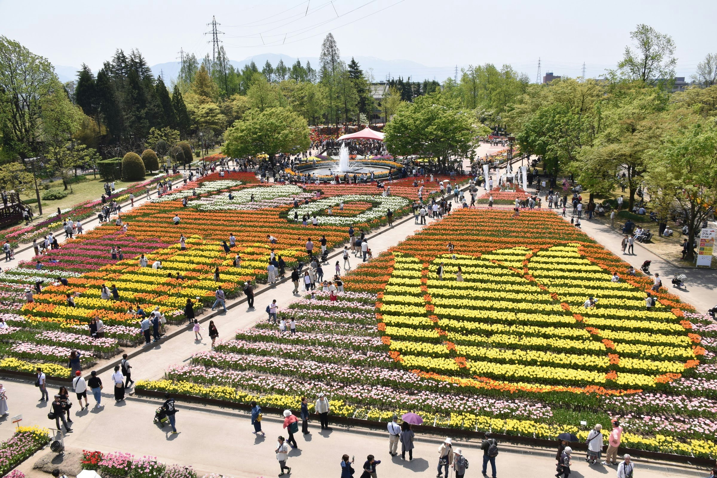 花畑の中を歩く人々と色とりどりの花壇