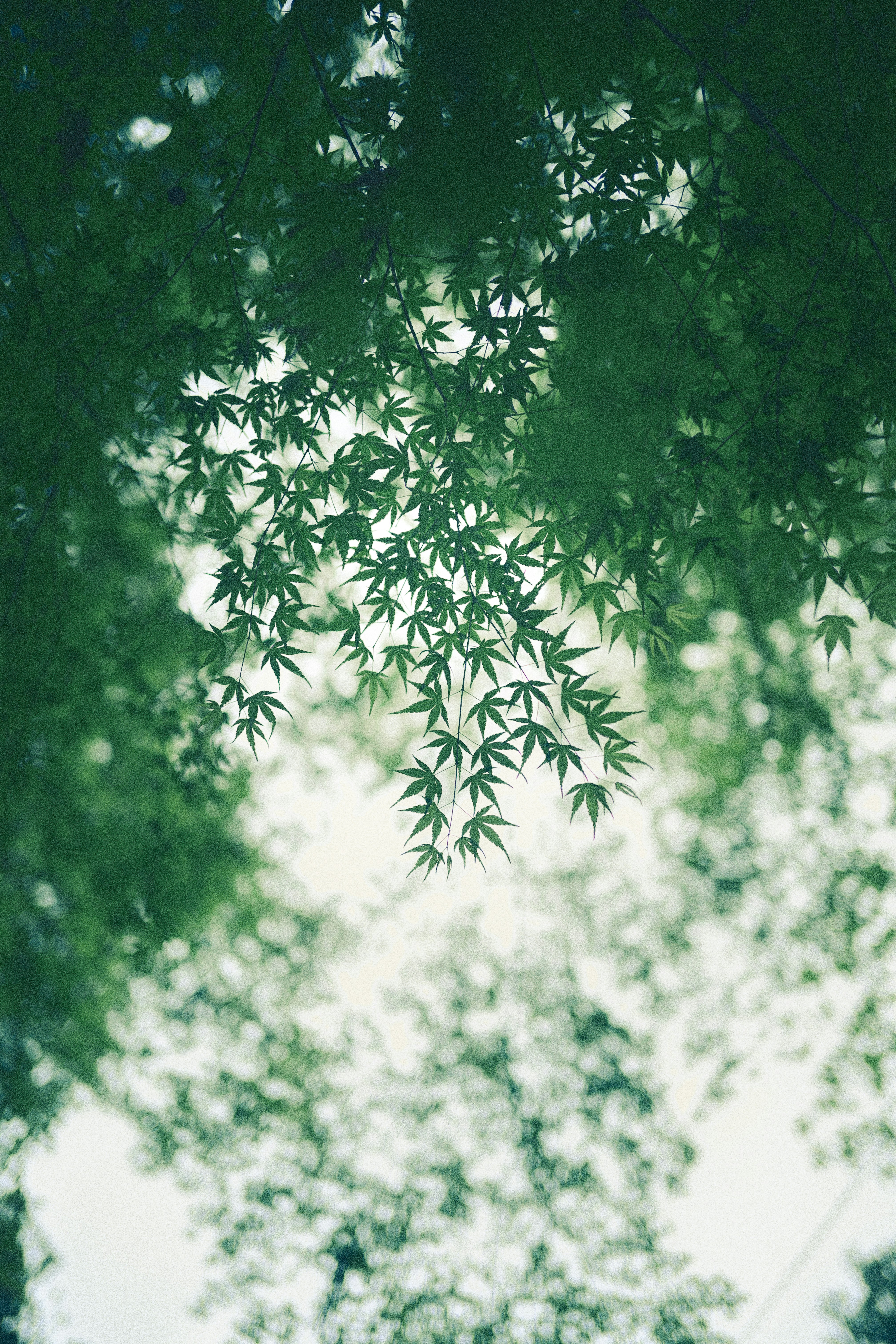 photo-92TfnmdbrVDDCSo2e13H-image