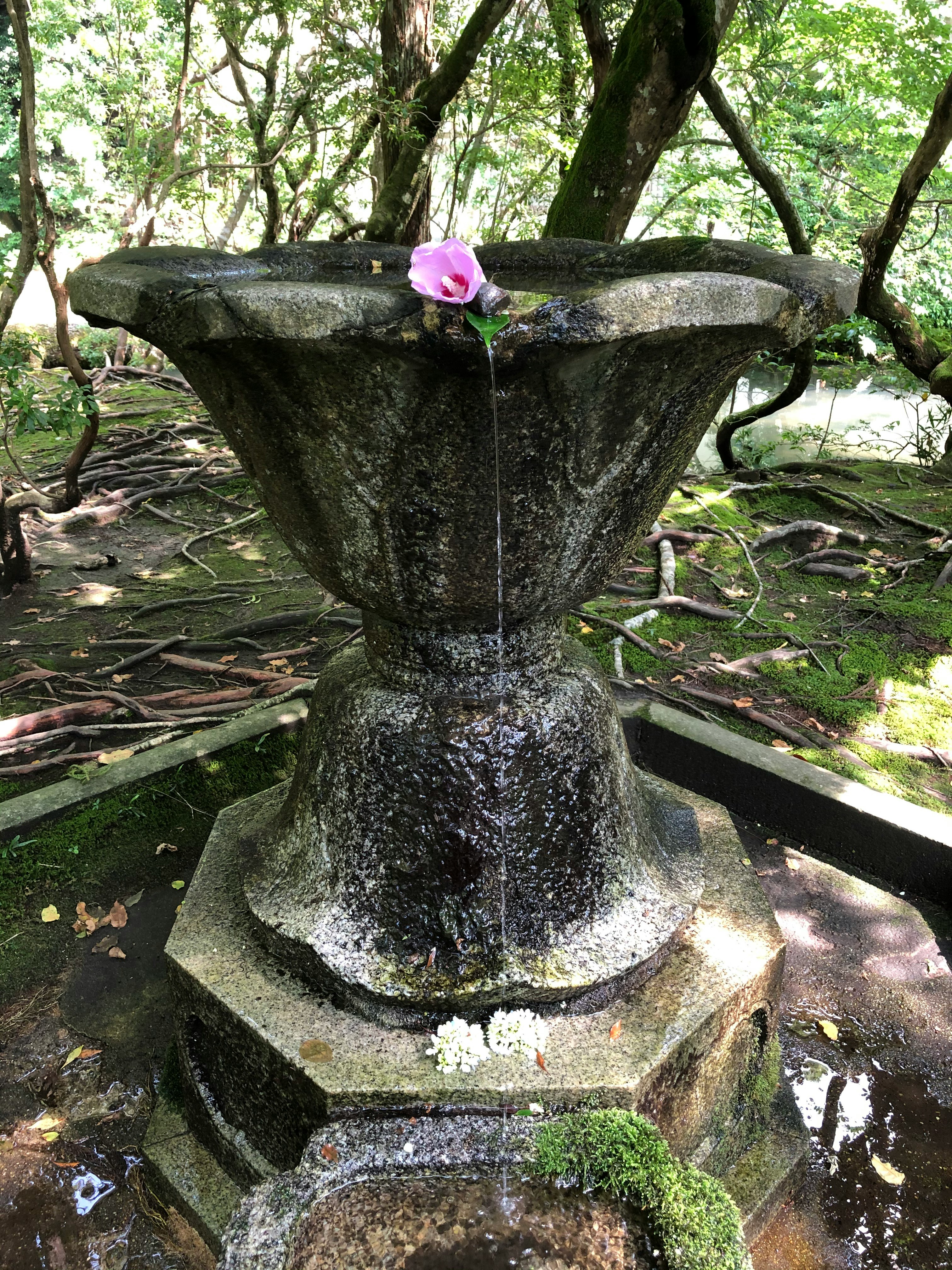 緑の庭園にある石の手水鉢と花