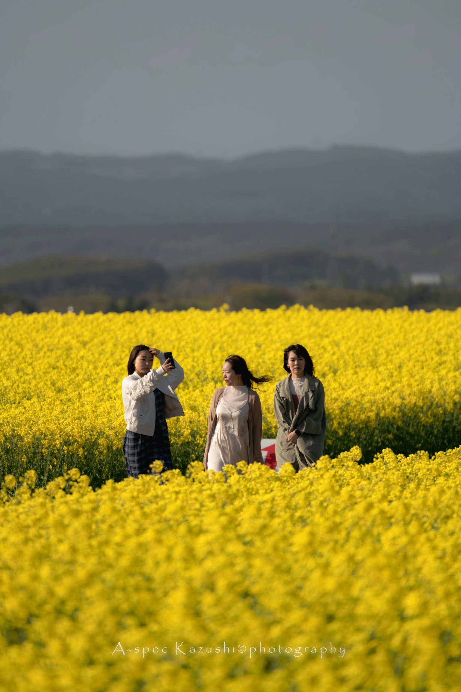 Drei Frauen stehen in einem gelben Blumenfeld