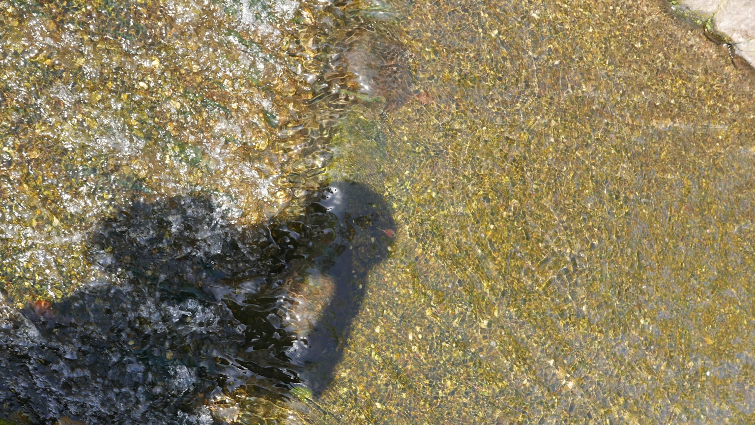 Schatten auf einer schimmernden goldenen Oberfläche