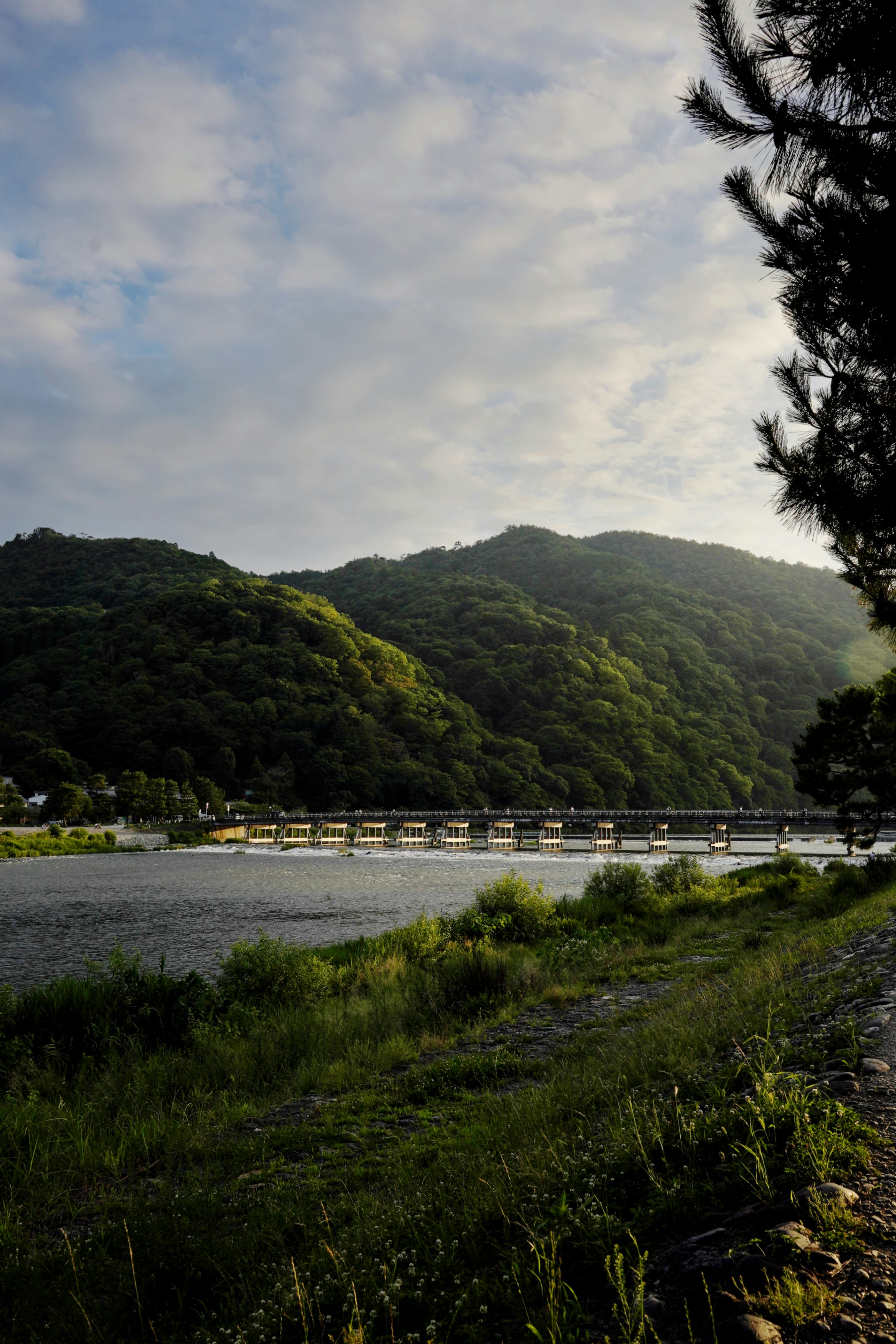 夕暮れの桂川と渡月橋周辺の川岸風景