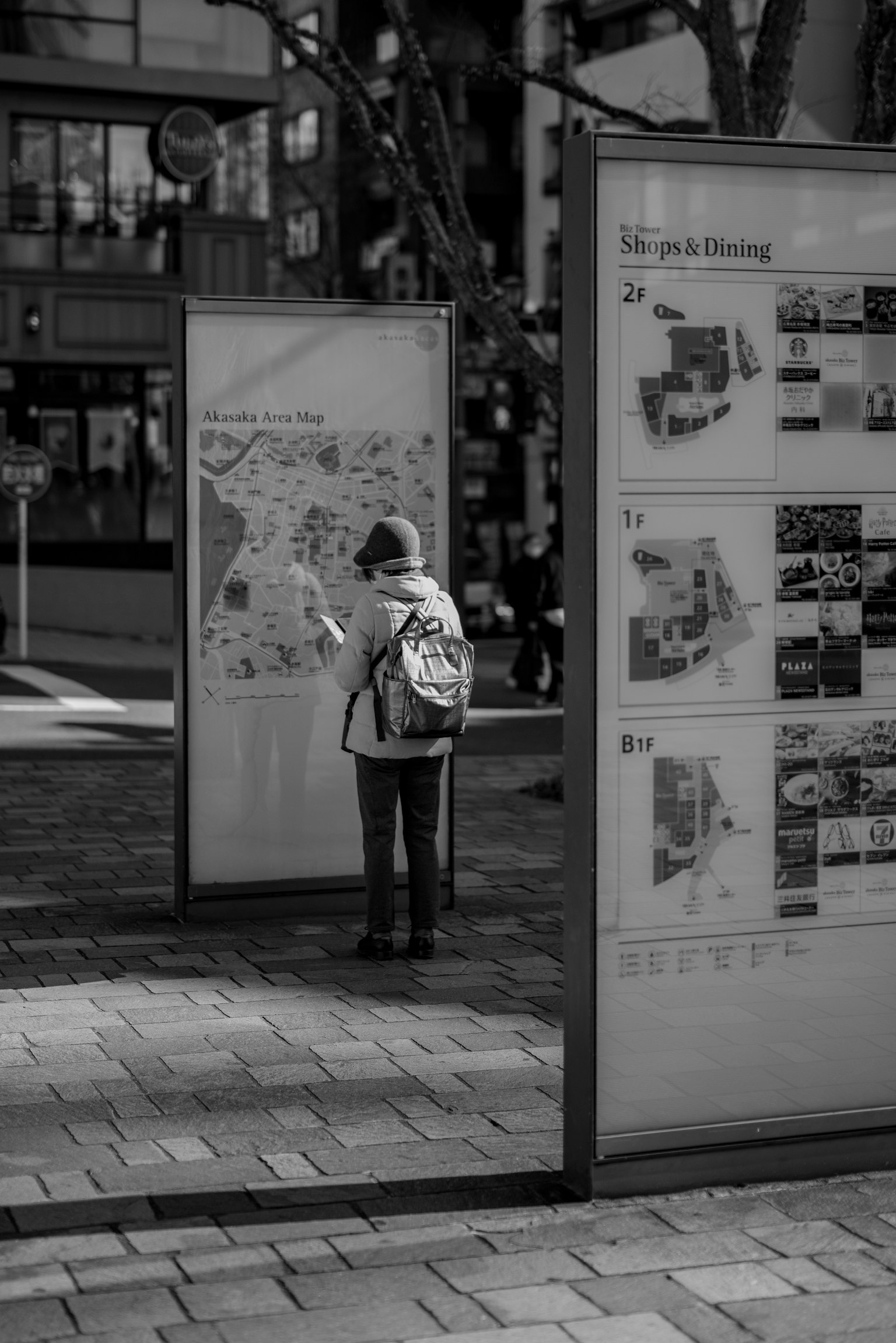 Una persona che guarda una mappa con pannelli informativi in un contesto urbano