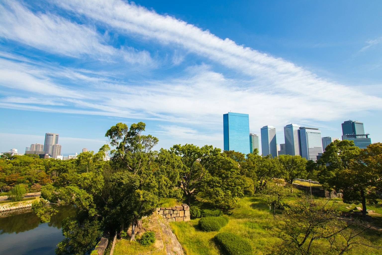 Skyline cittadino con edifici moderni e un parco verdeggiante sotto un cielo blu con nuvole bianche