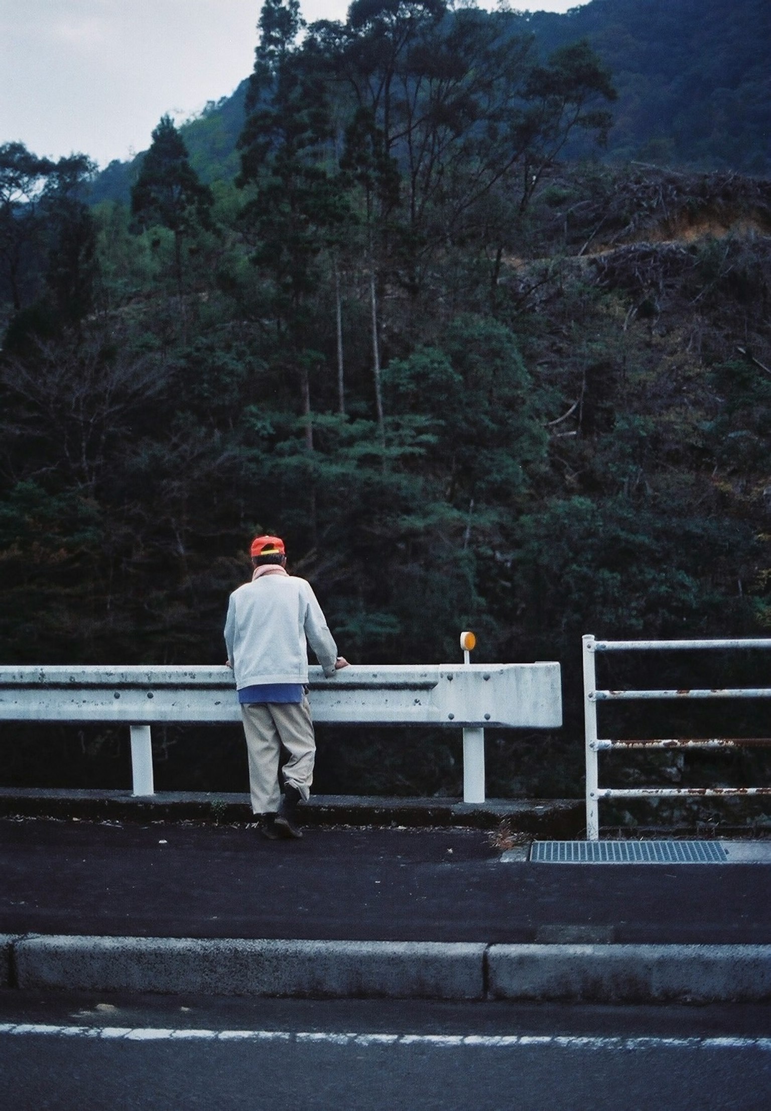 Man gazing at the mountains with lush greenery
