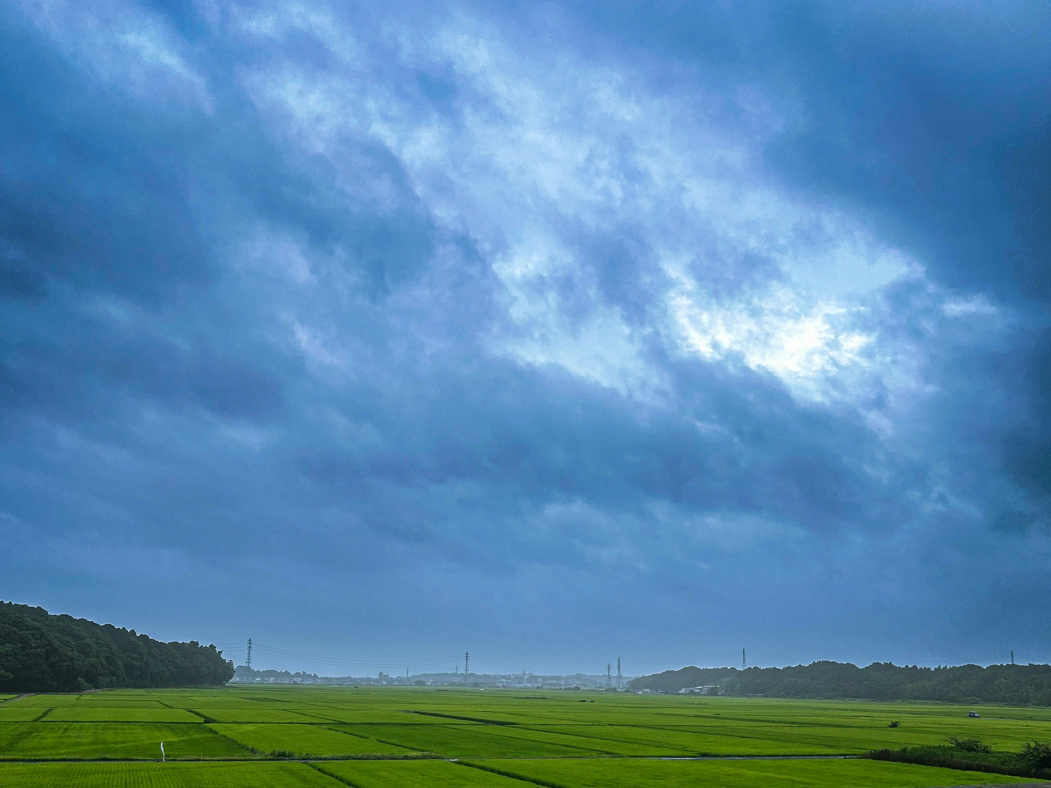 蒼い空の下に広がる緑の田園風景